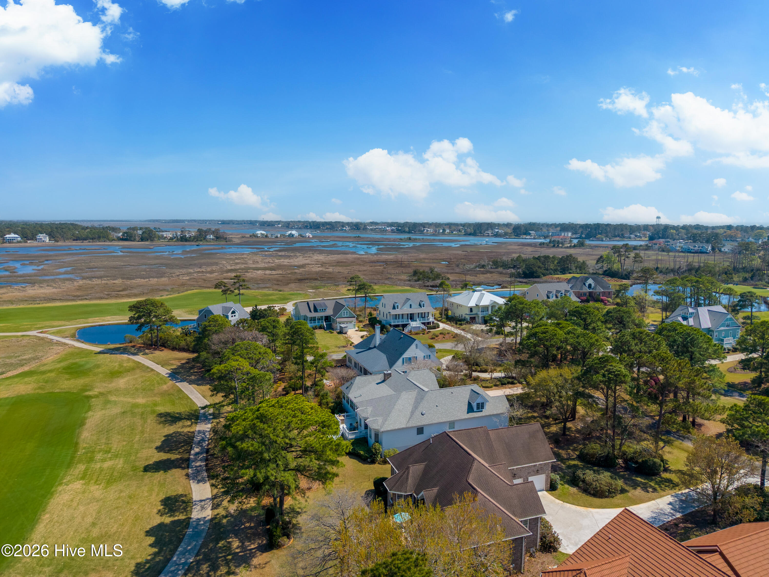 100564038 | Photo 52