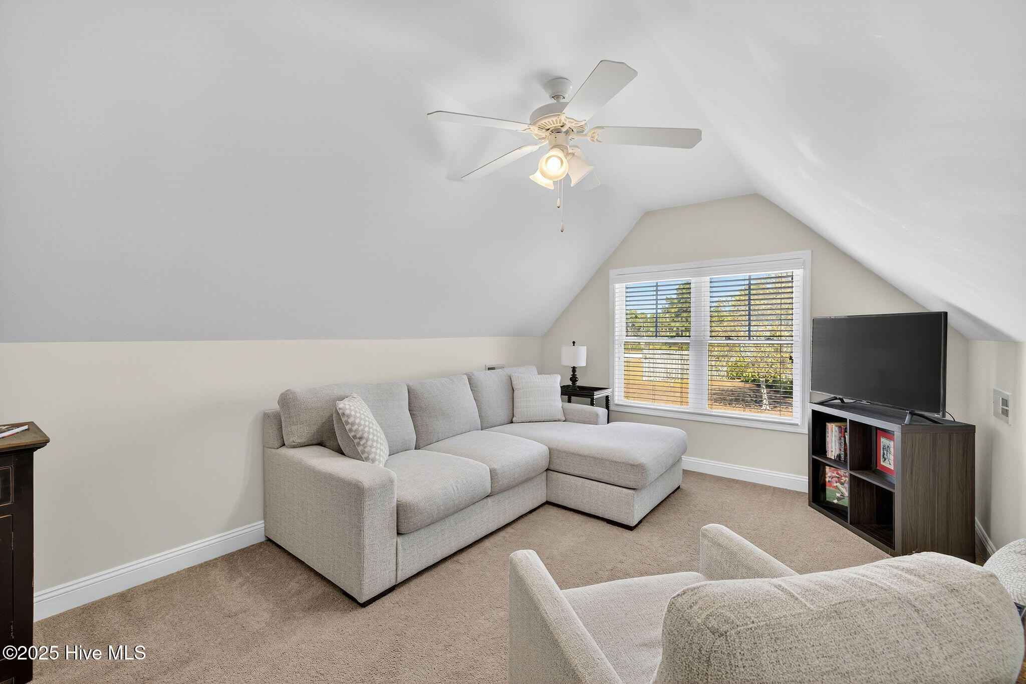 100539935 | Photo 27