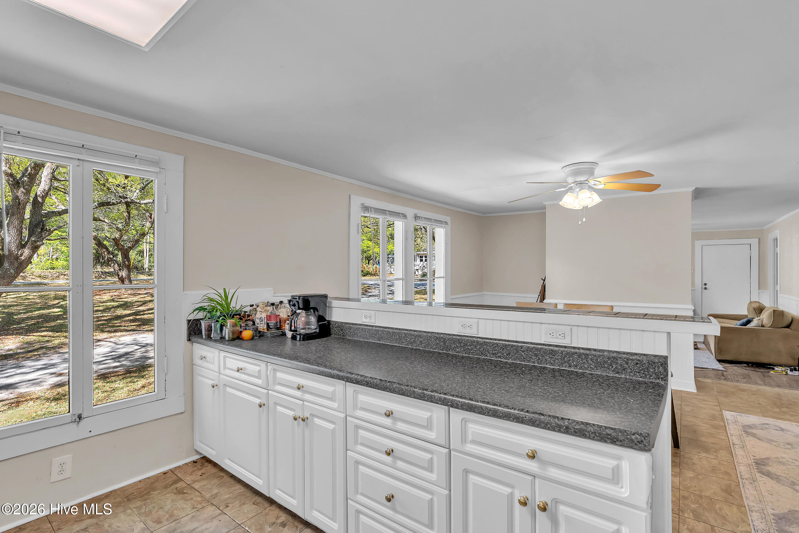 100567144 | Photo 20