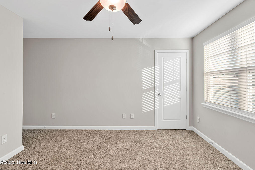 100545435 | Photo 29