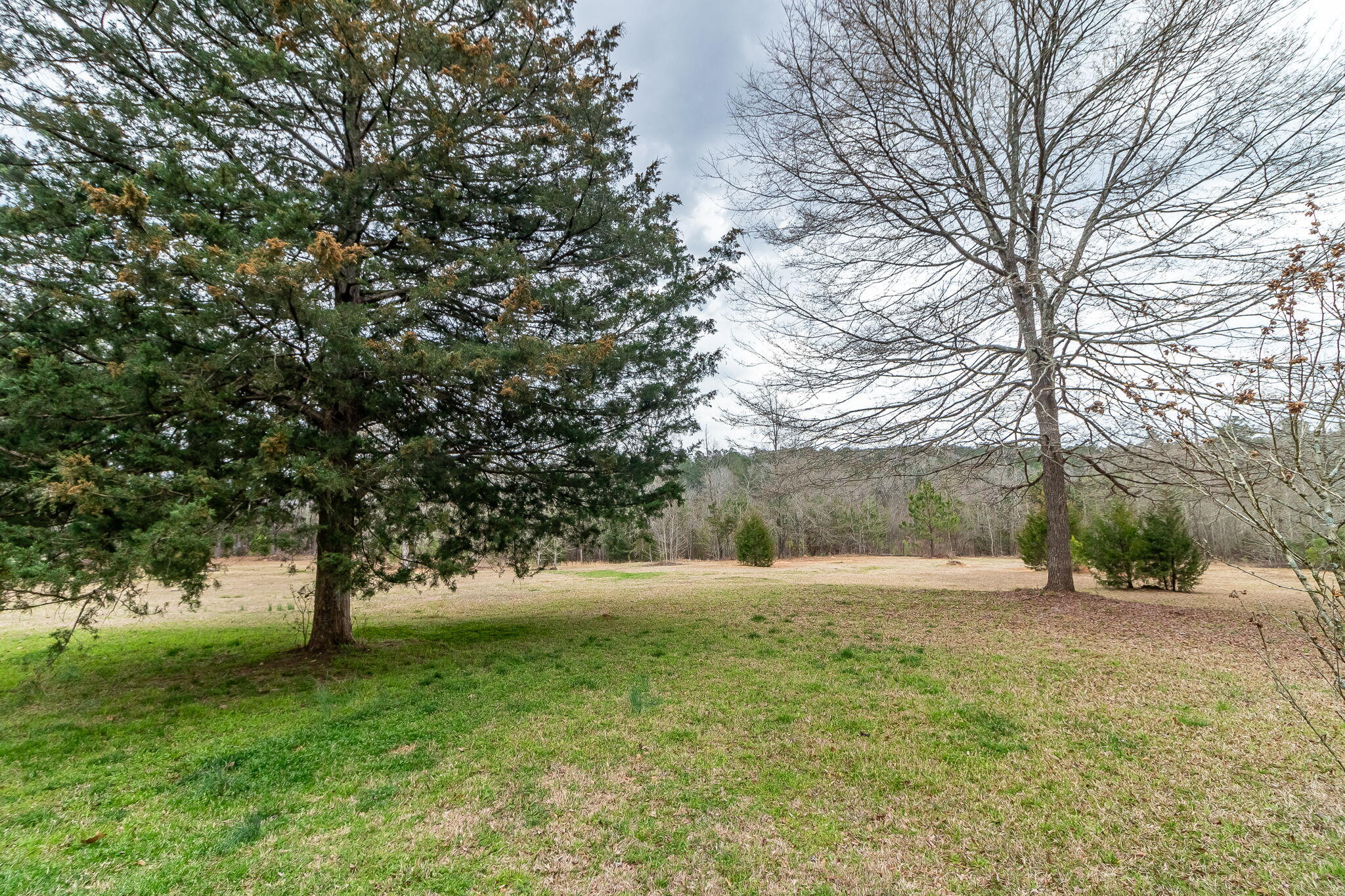52-web-or-mls-1545 SWINT RD ©-1102