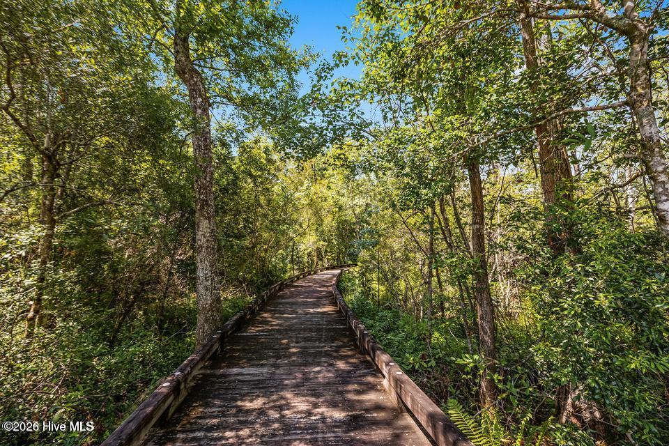 100565114 | Photo 26