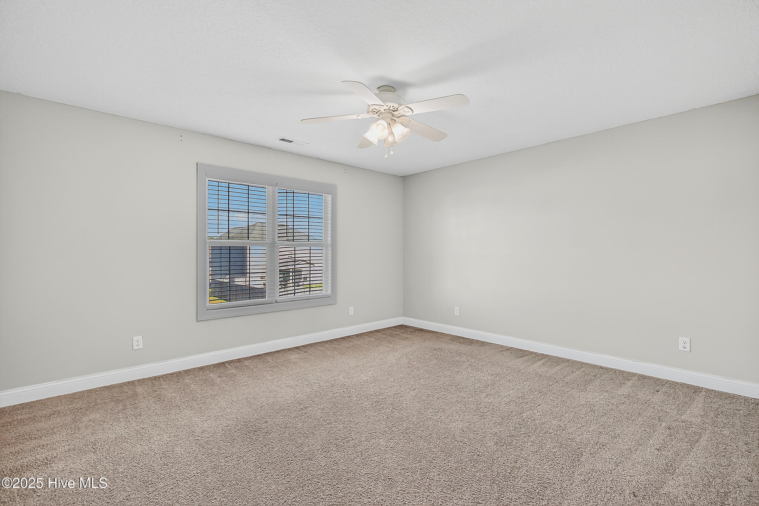 100541345 | Photo 37