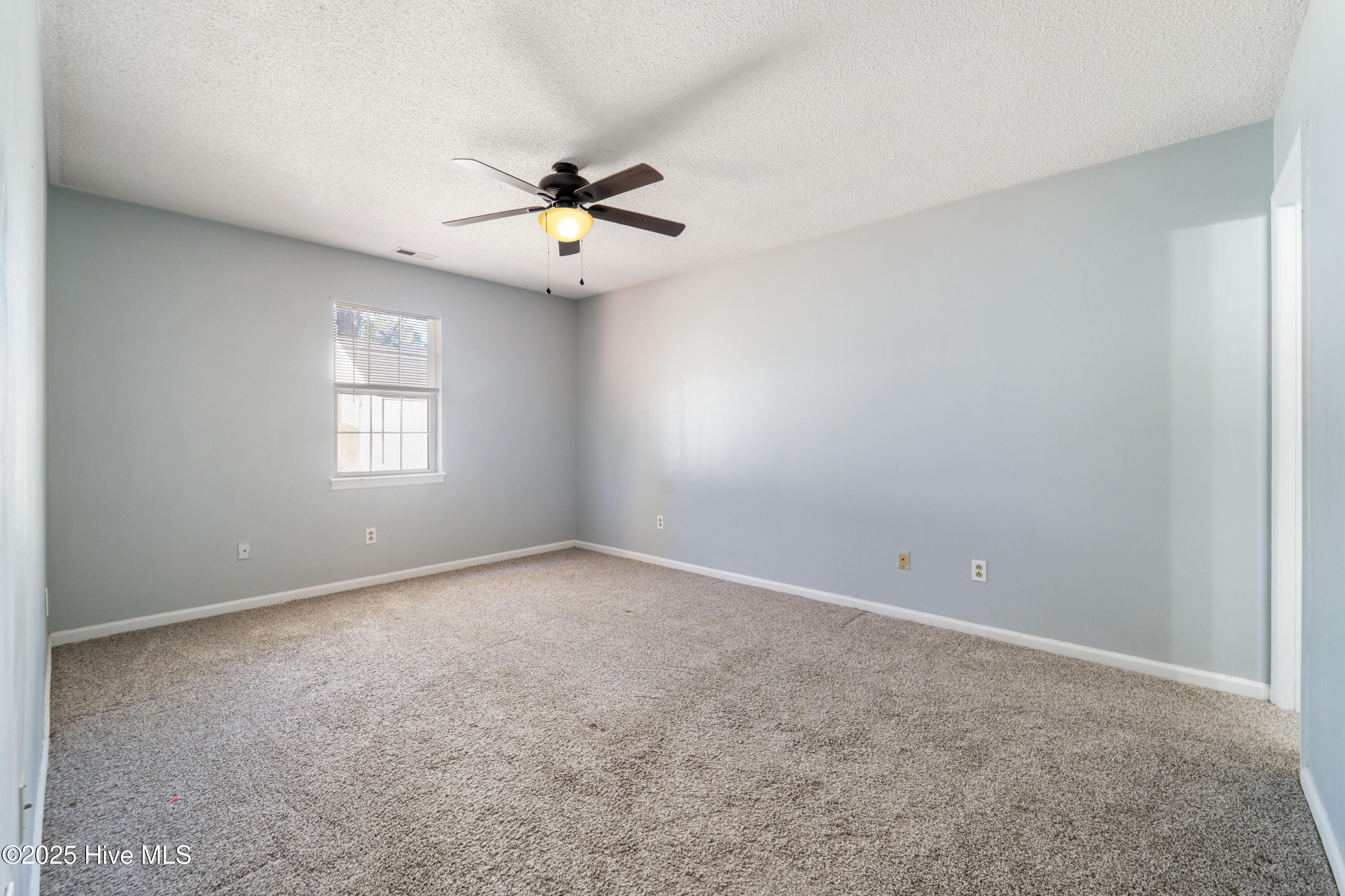 100546102 | Photo 24