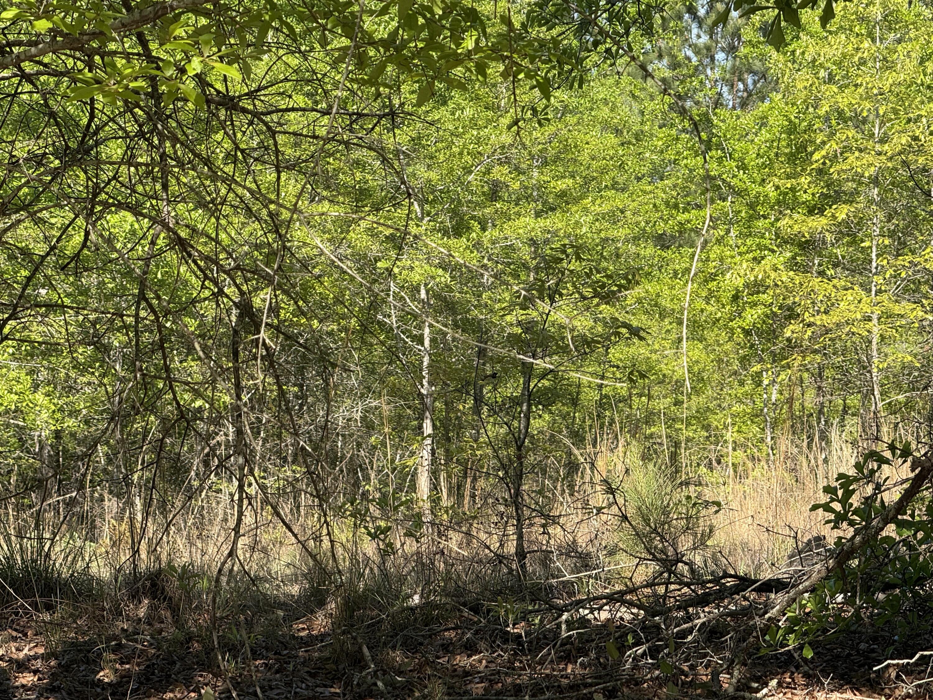 8087 Sandhill Road, Mitchell, GA, 30820