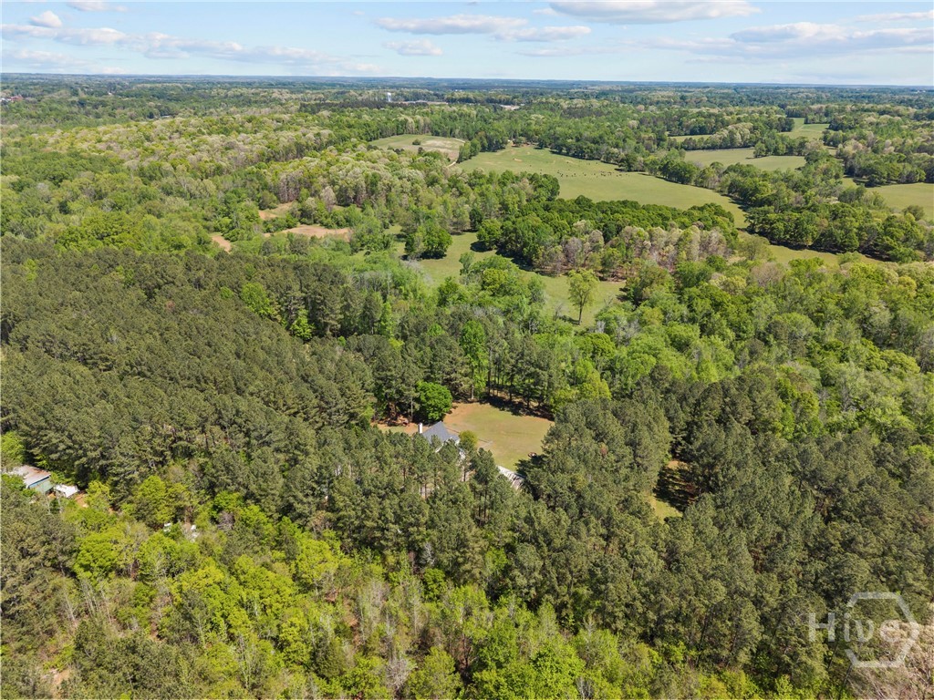 599 Double Branch Road, Danielsville, GA, 30633