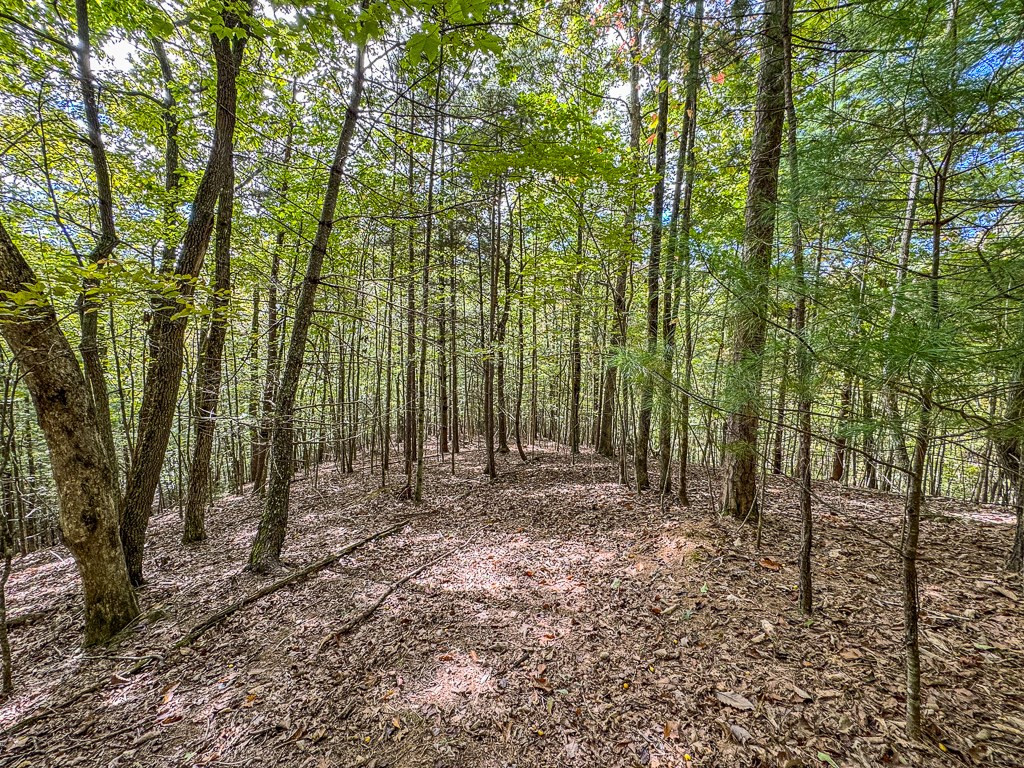 Exterior photo of 0 Wolf Print, Murphy, NC 28906. MLS: 98544044