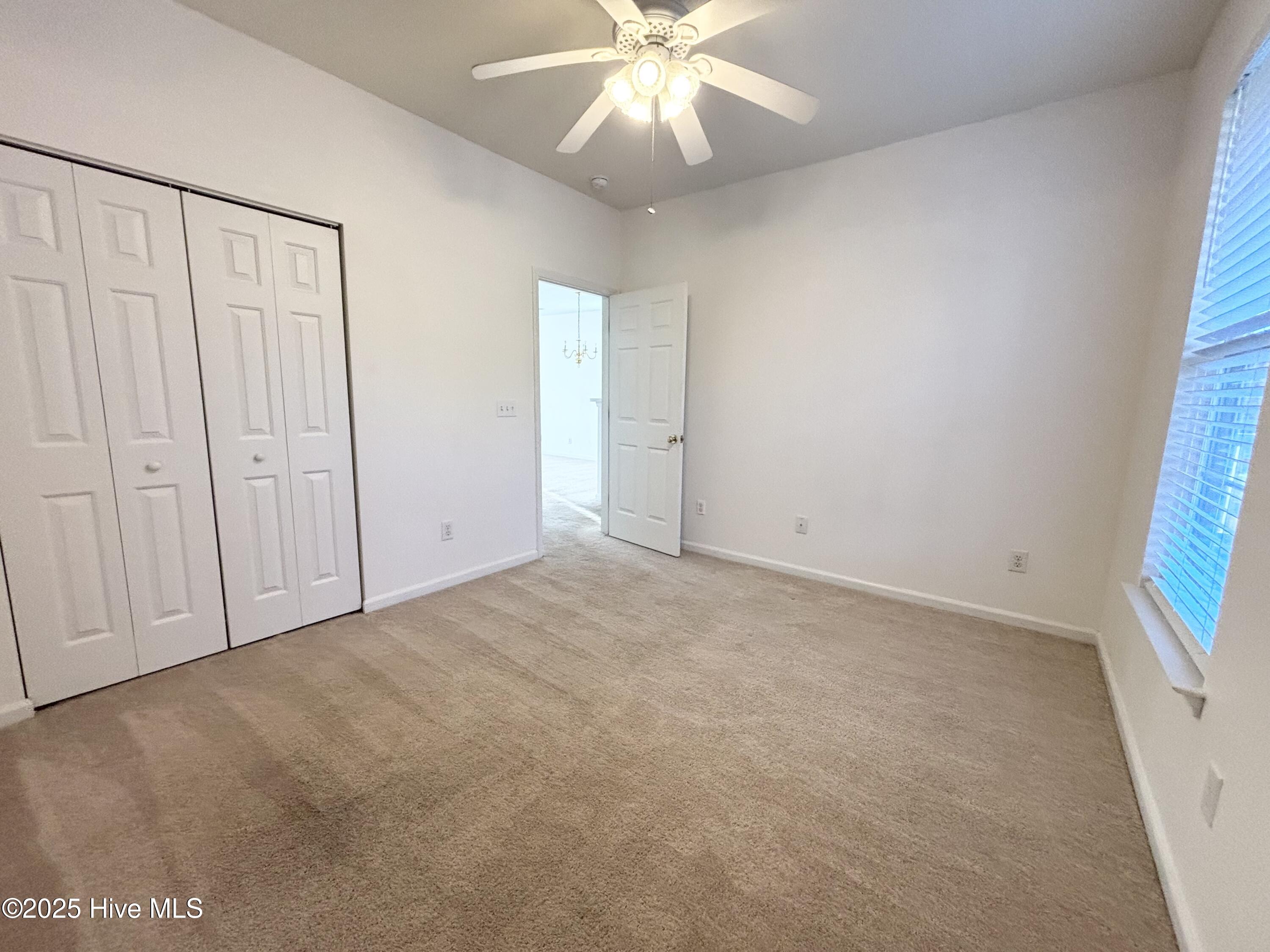 100520456 | Photo 19