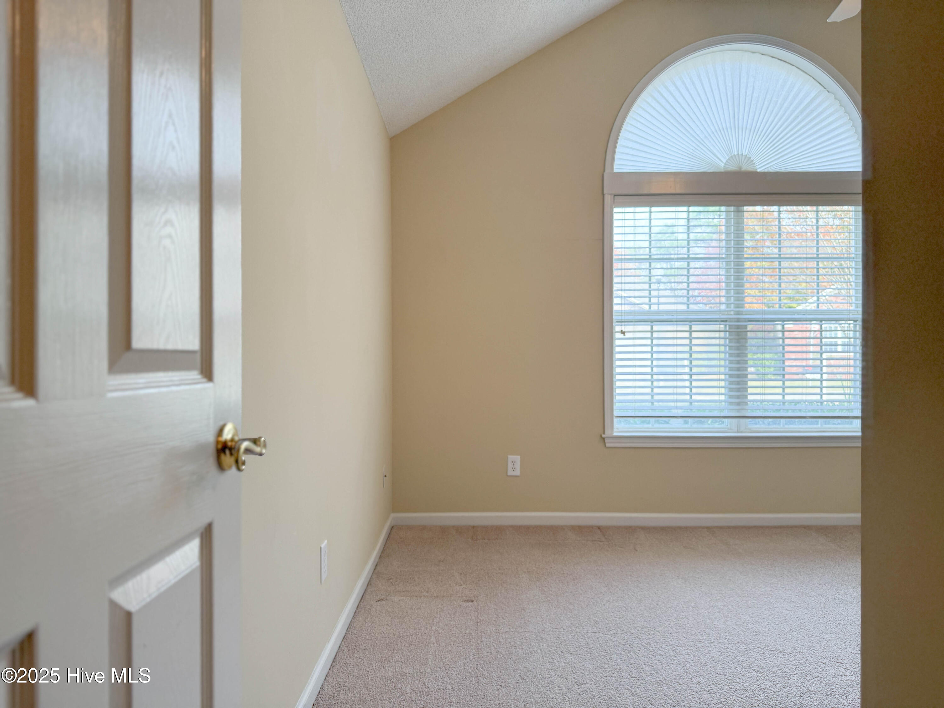 100542356 | Photo 23