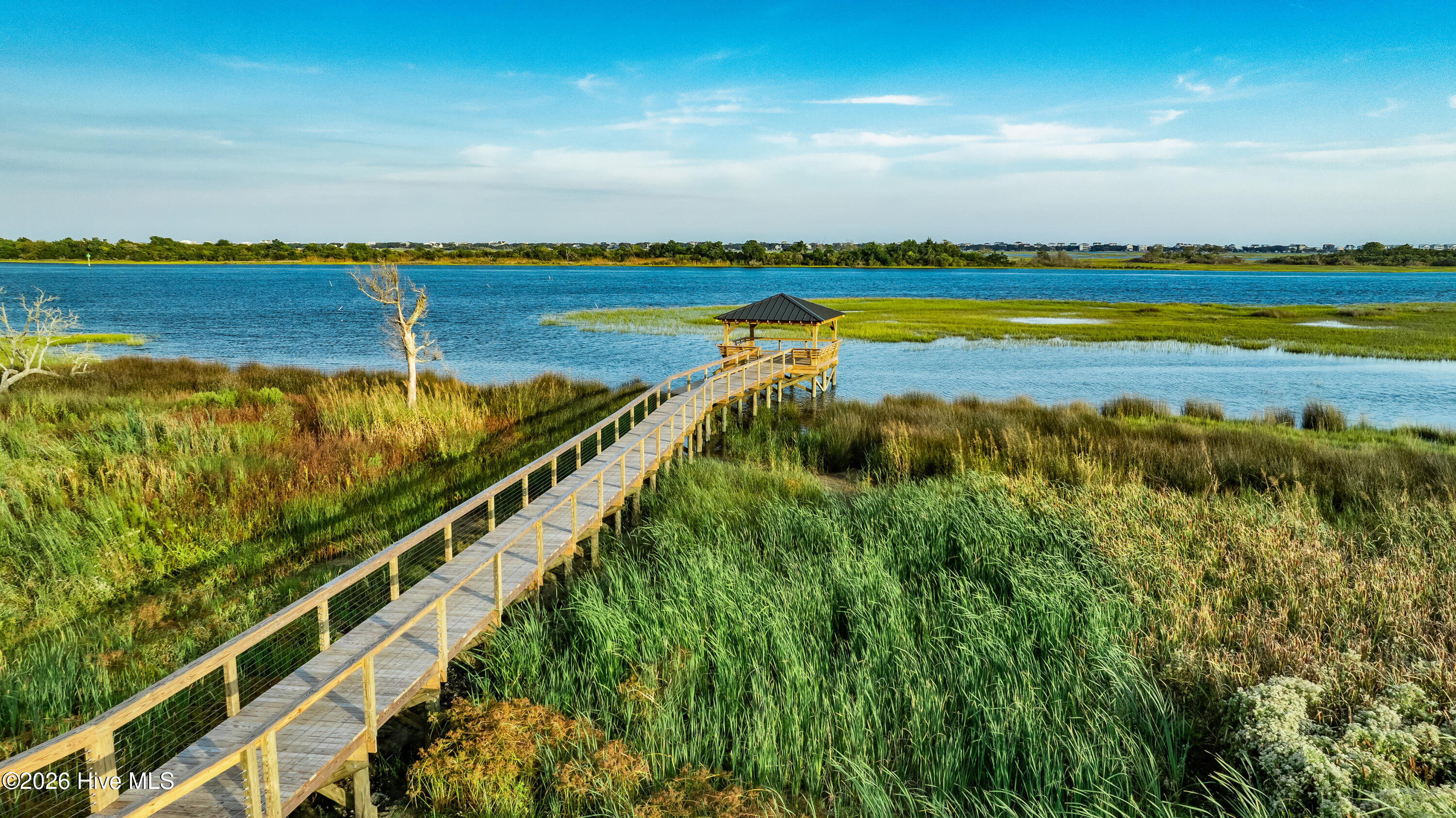 100555105 | Photo 18