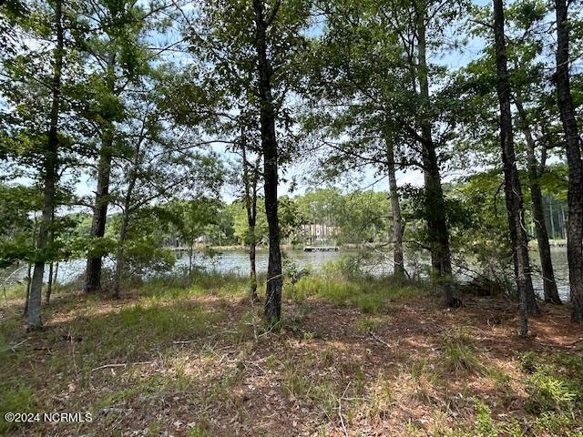 1039 Pasture Point Road,Merritt