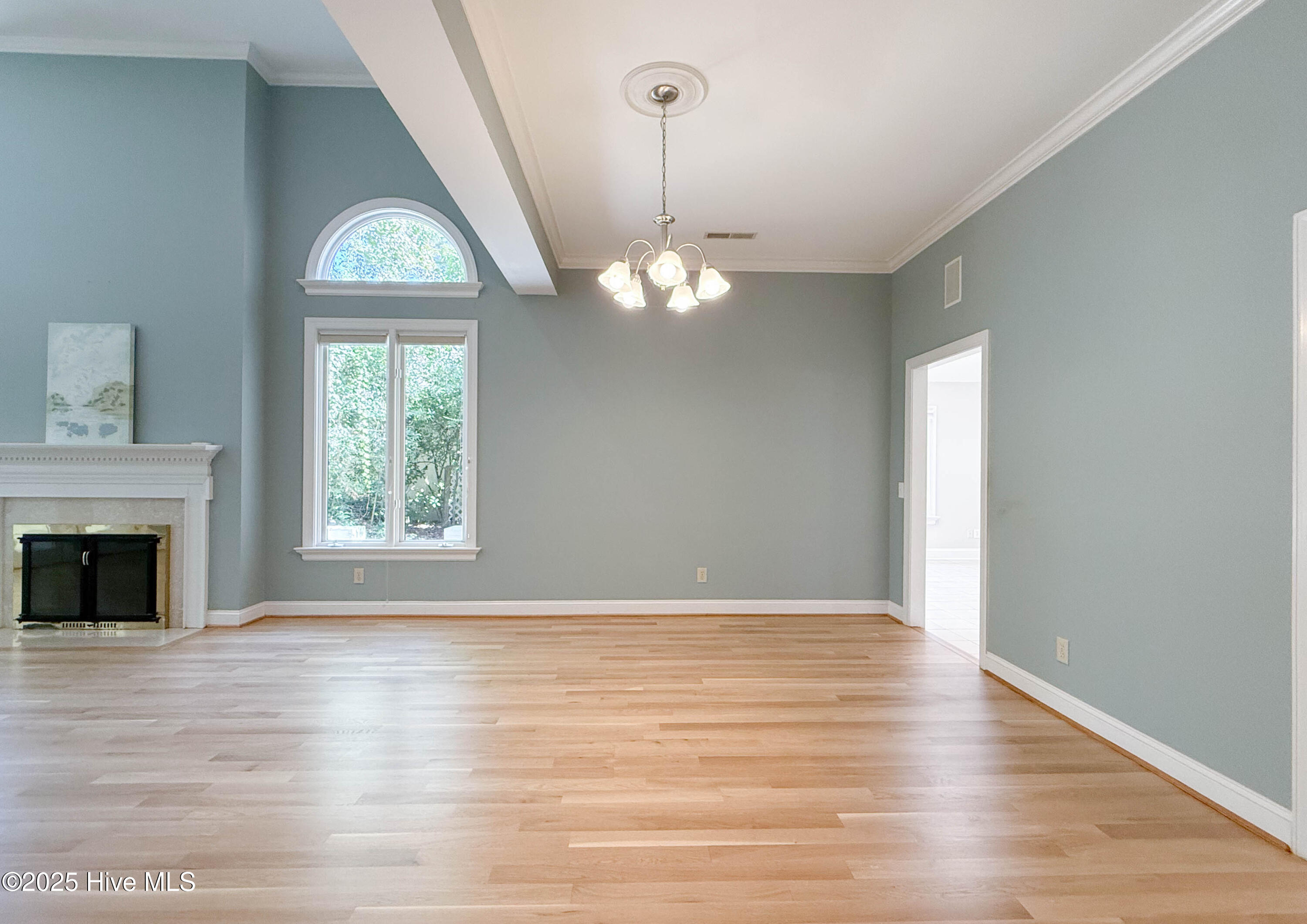 100535071 | Photo 12