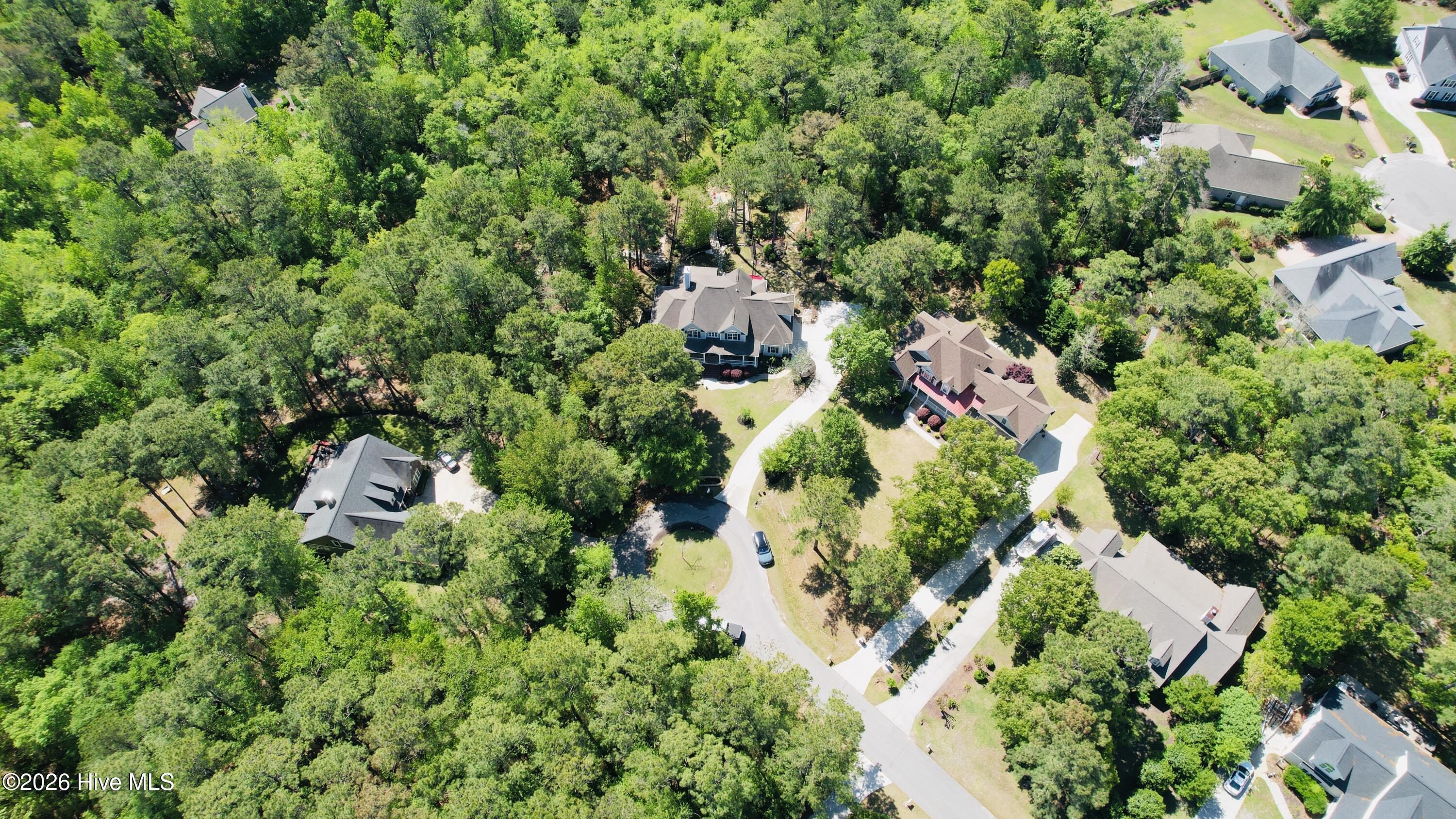 100568961 | Photo 98