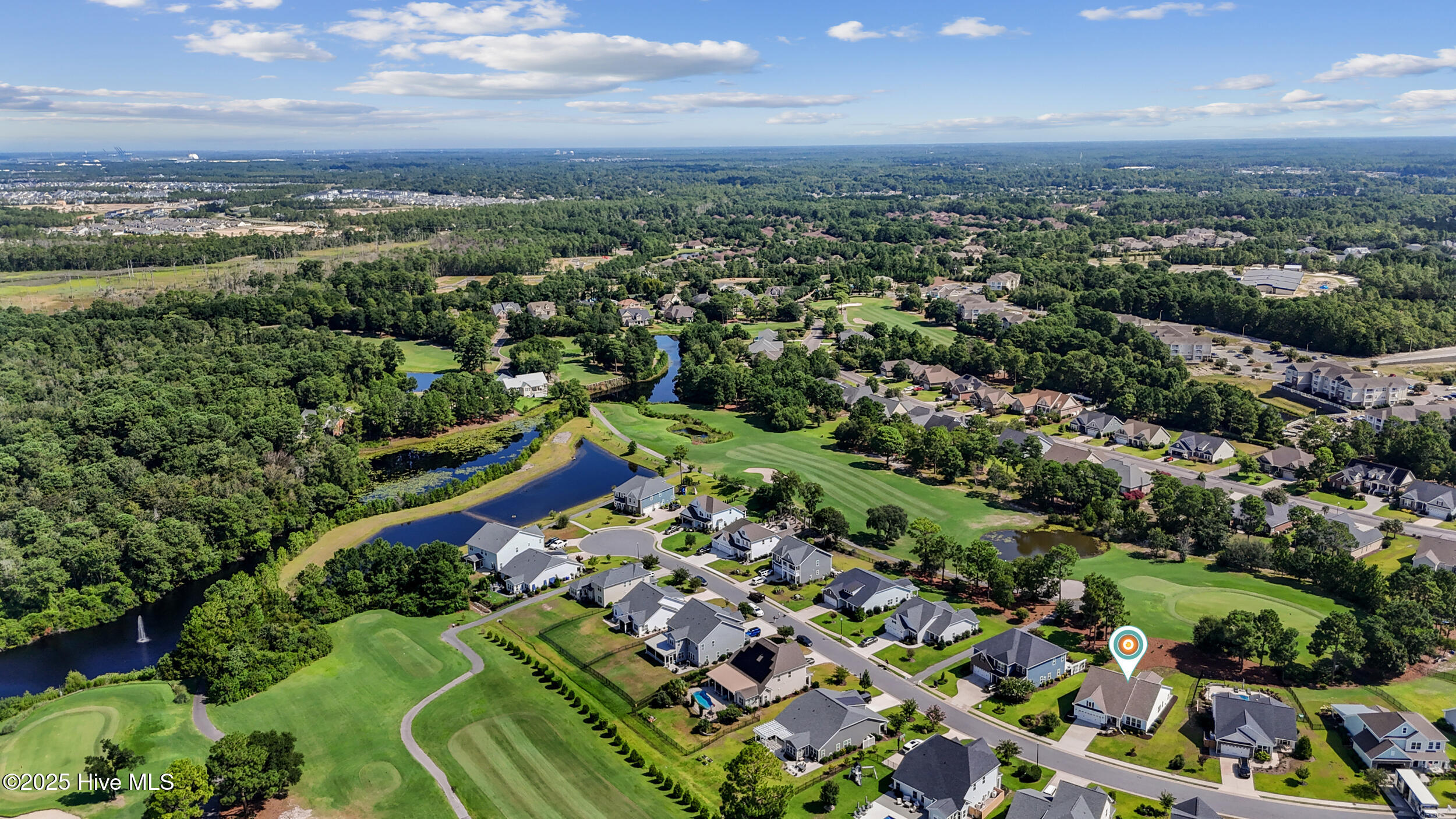 100521599 | Photo 46