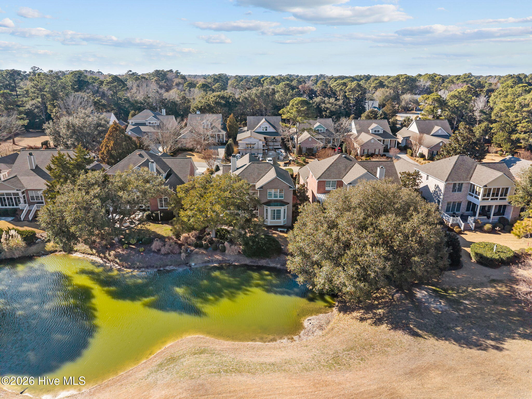 100554468 | Photo 67