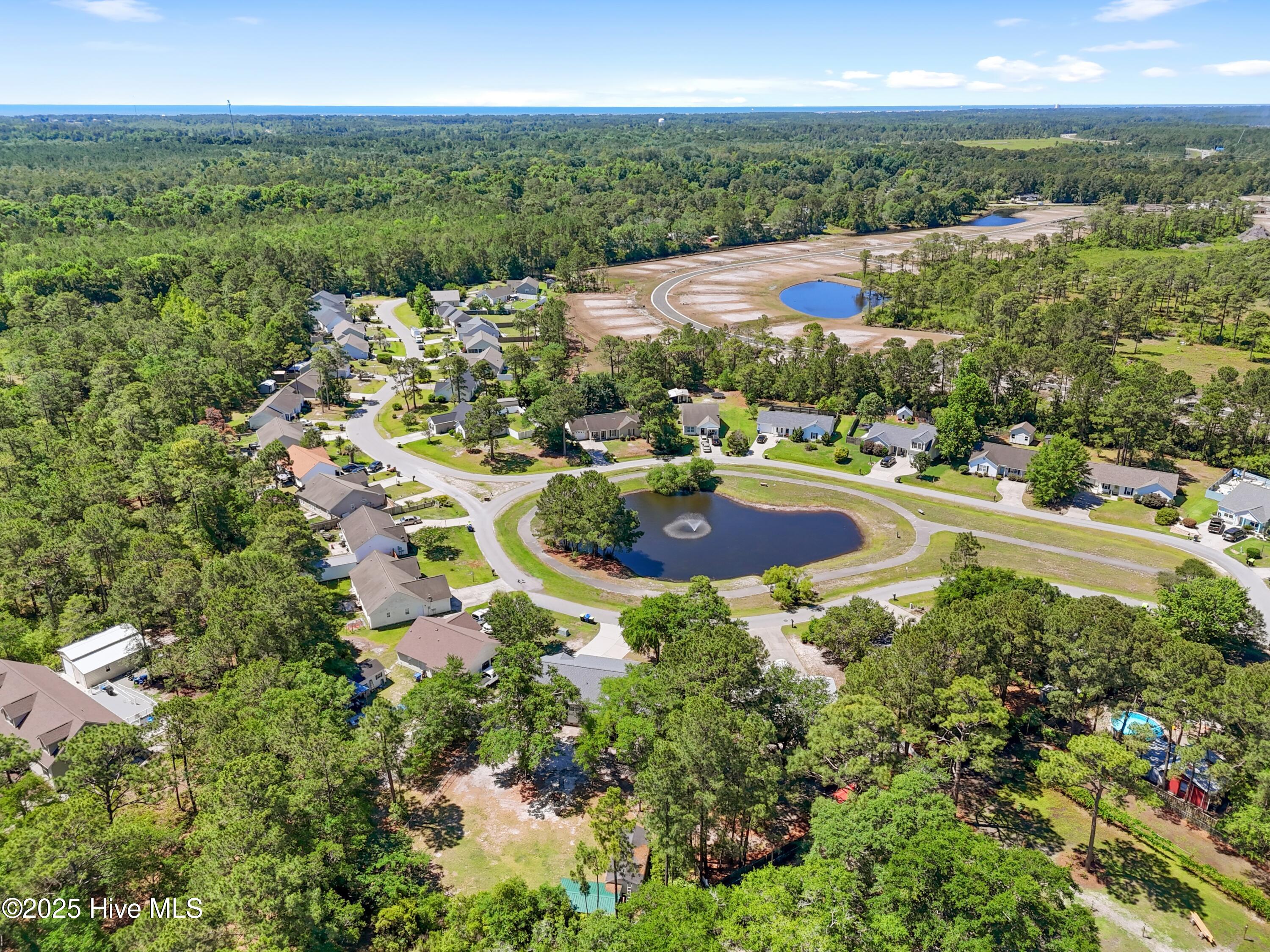 100509248 | Photo 48