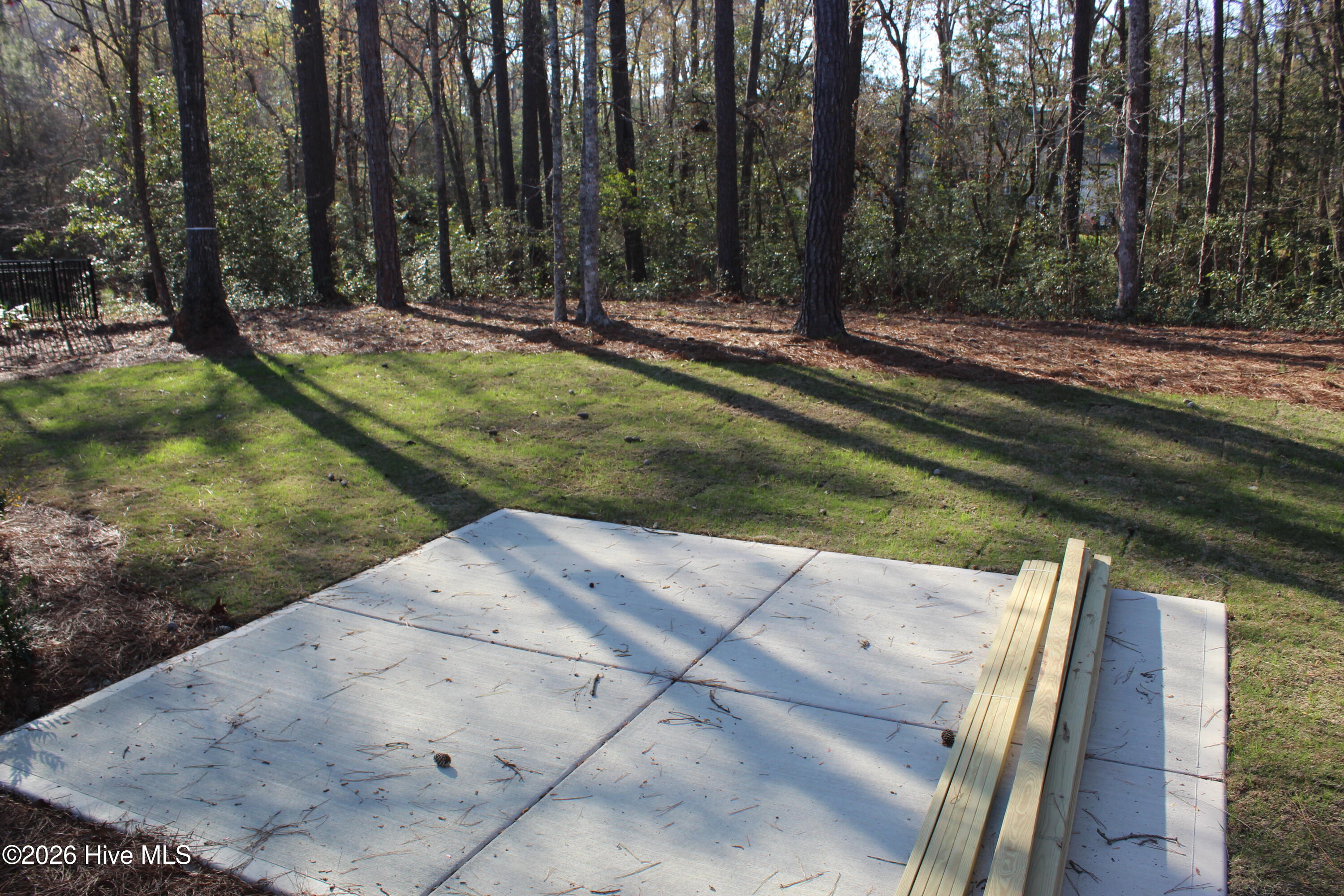 100536128 | Photo 21