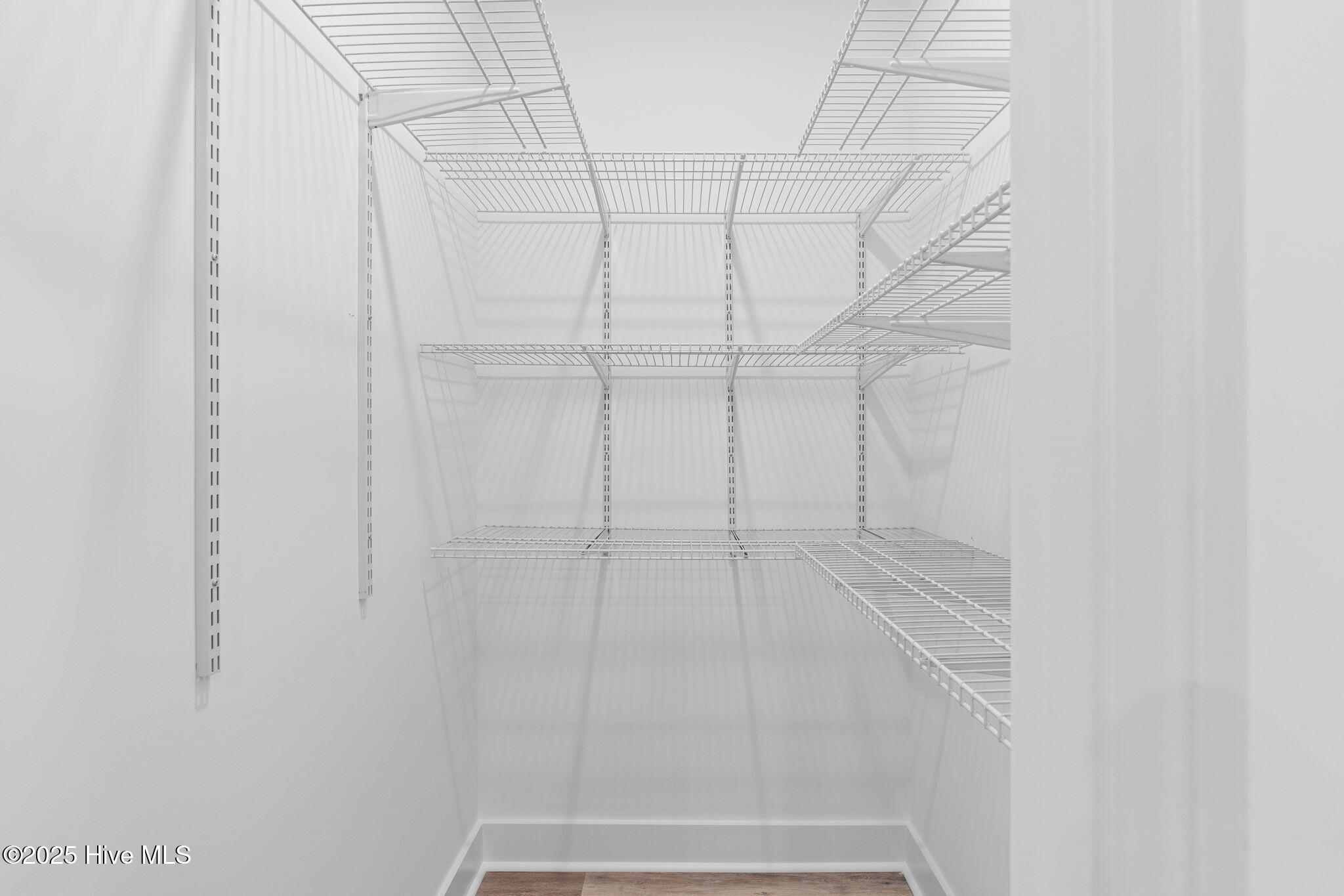 100524494 | Photo 11