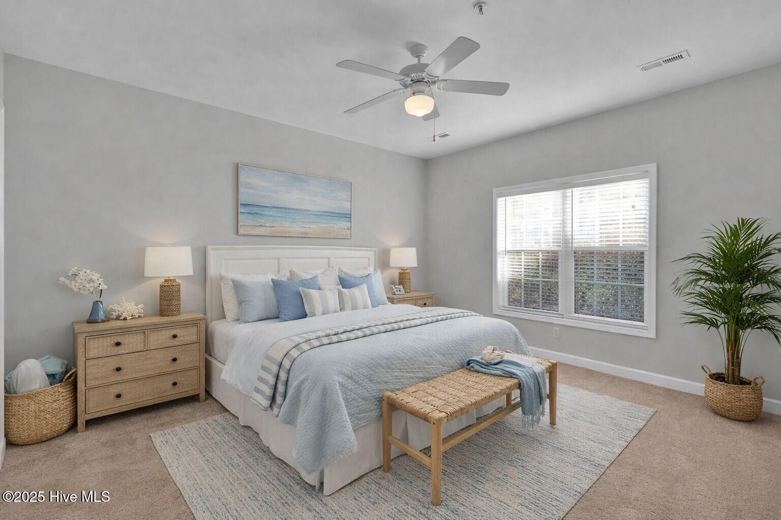 100545876 | Photo 24