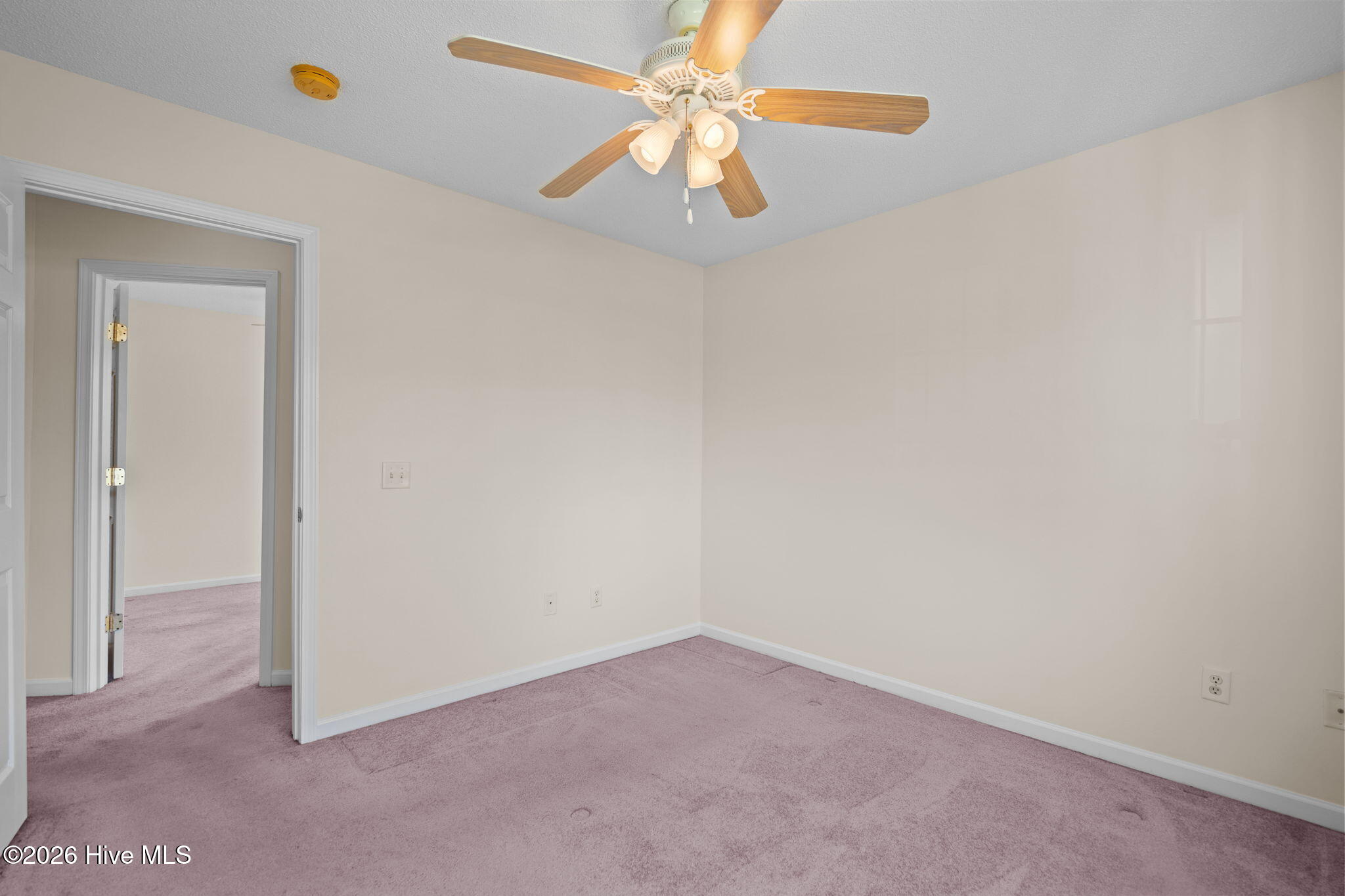 100560946 | Photo 11