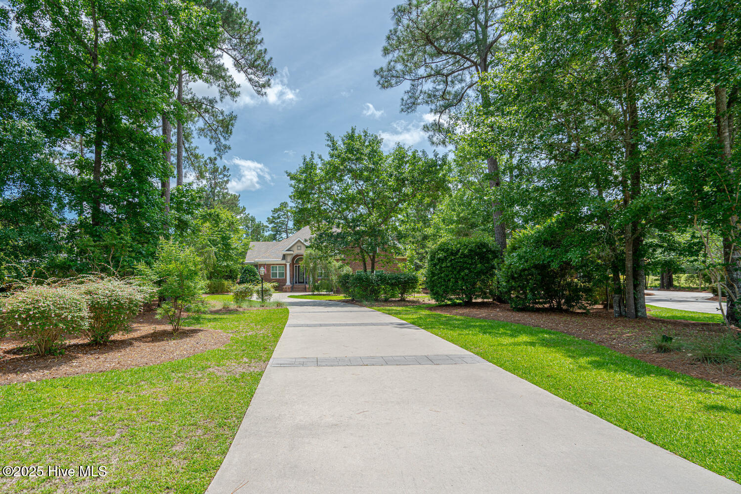 100513724 | Photo 65