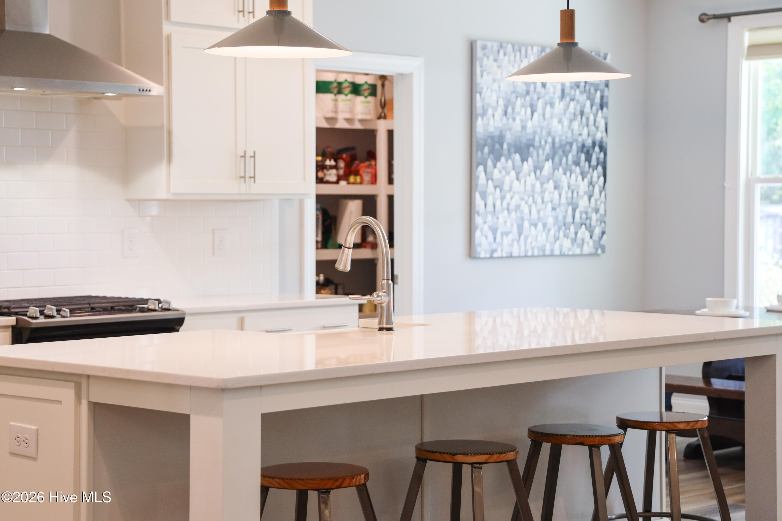 100567915 | Photo 21