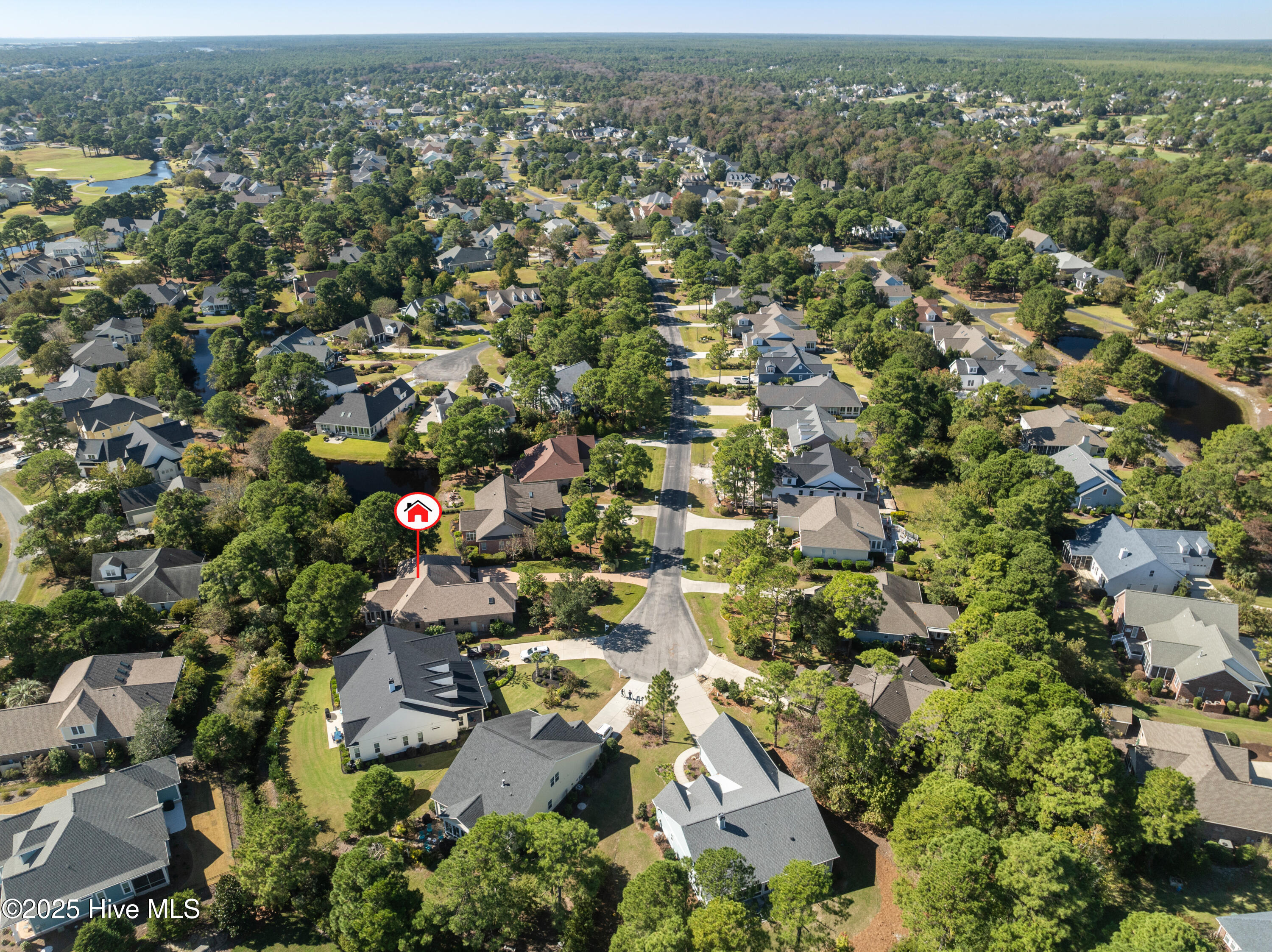 100516292 | Photo 56