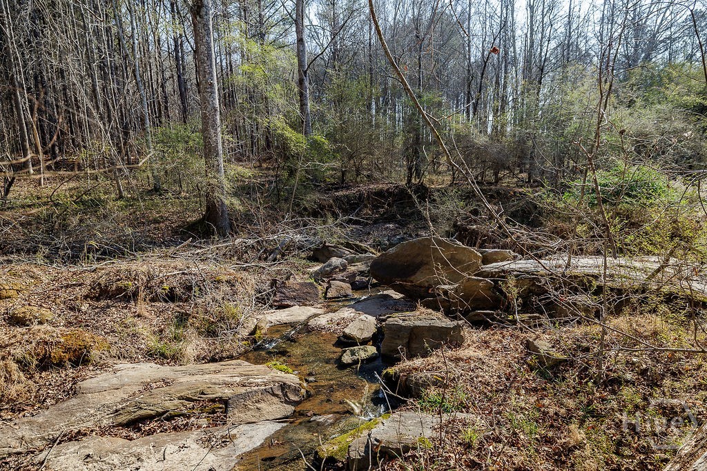 Homes for sale in Good Hope, GA | 2644 Nunnally Shoals Tract 2 Rd, Good Hope, GA 30641 | MLS# CL347749