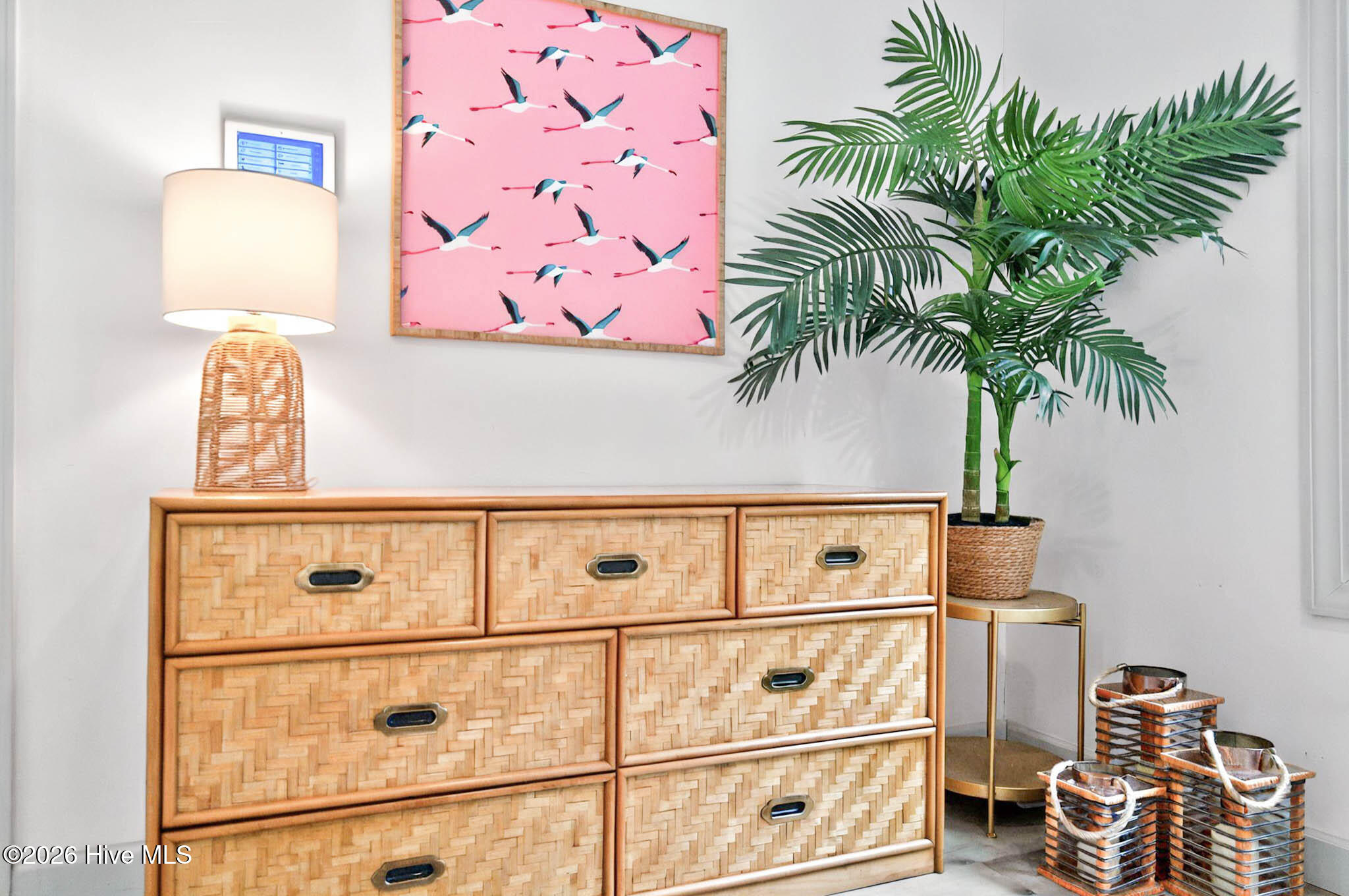 100556049 | Photo 11