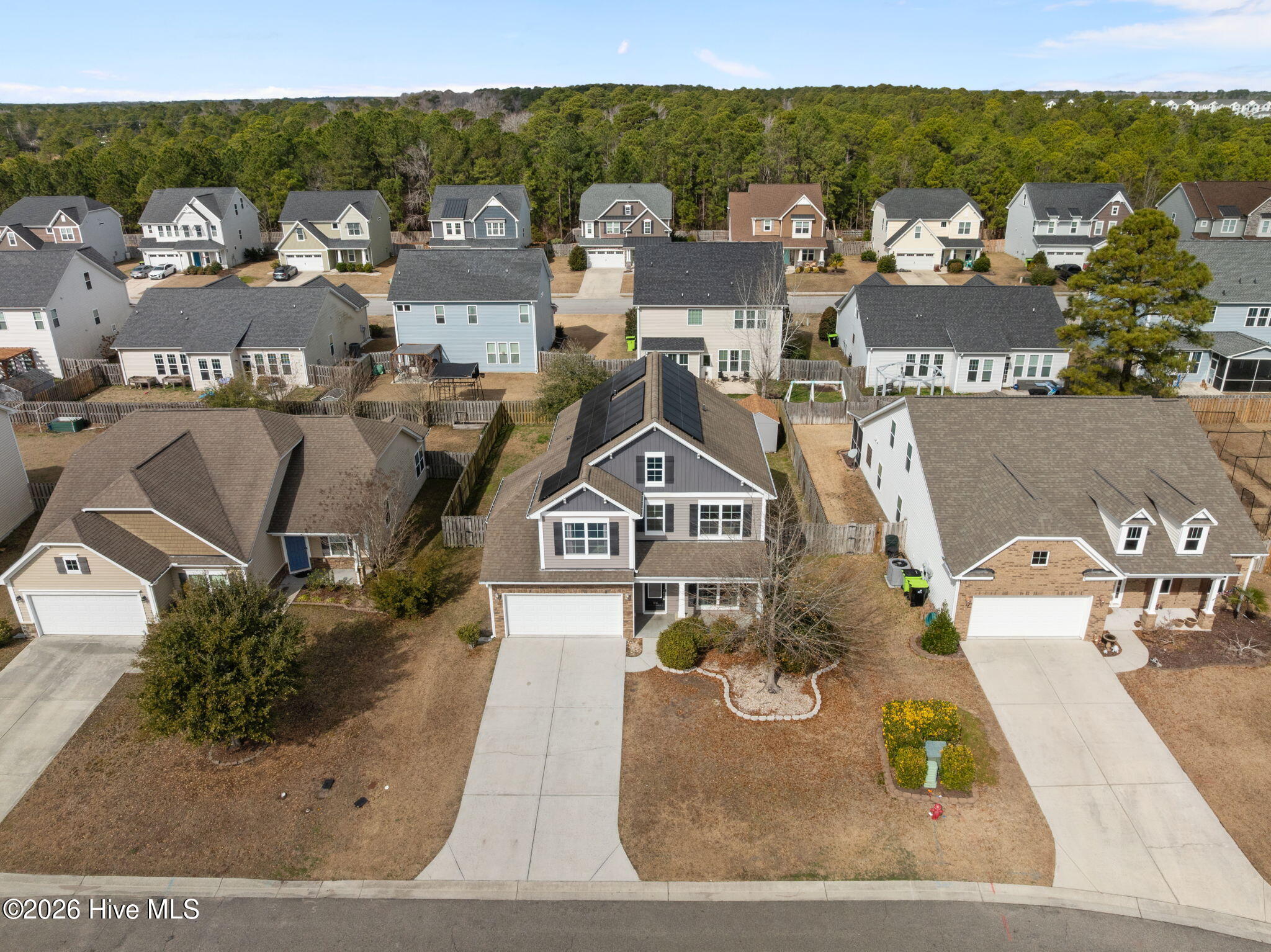 100555792 | Photo 43