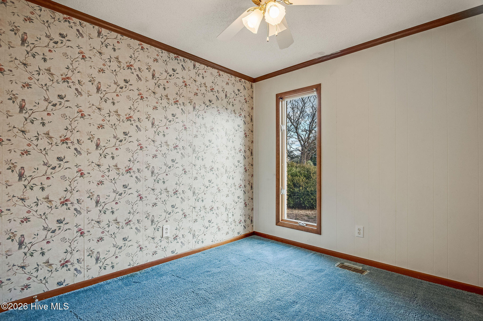 100556602 | Photo 47