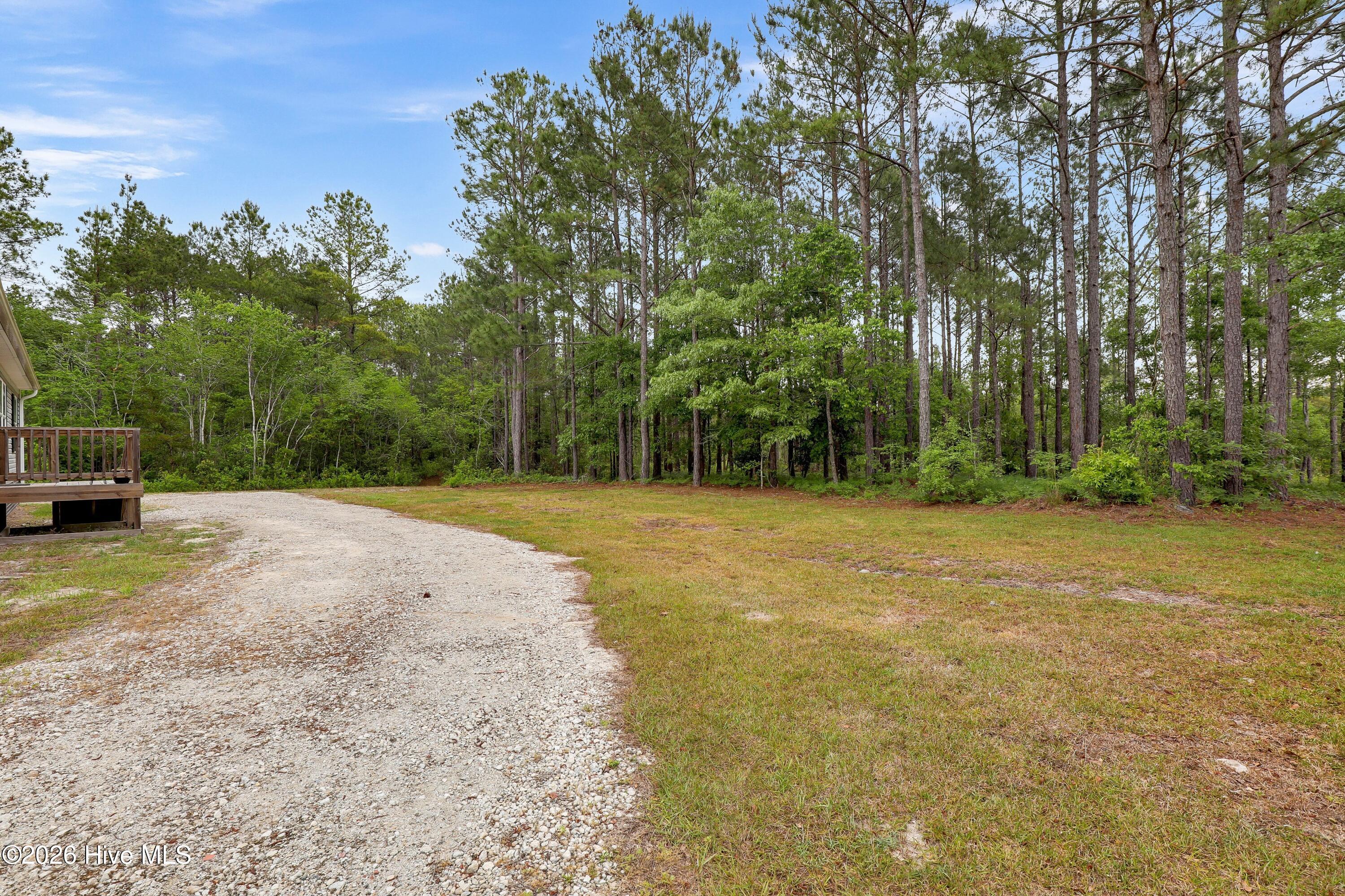 100570653 | Photo 10