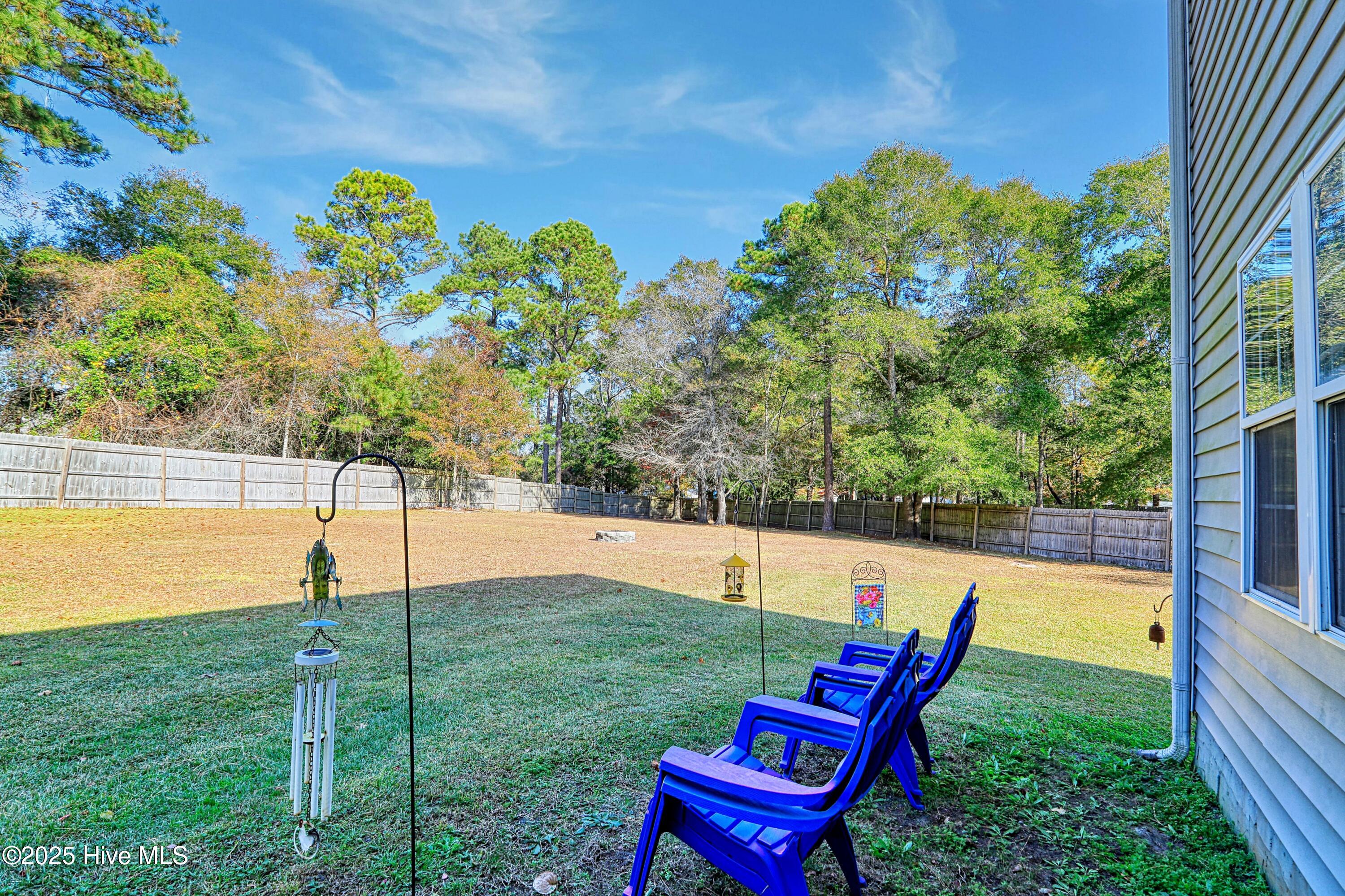 113 Knotts Court, Sneads Ferry, NC 28460 – photo 14: bk yd use 2