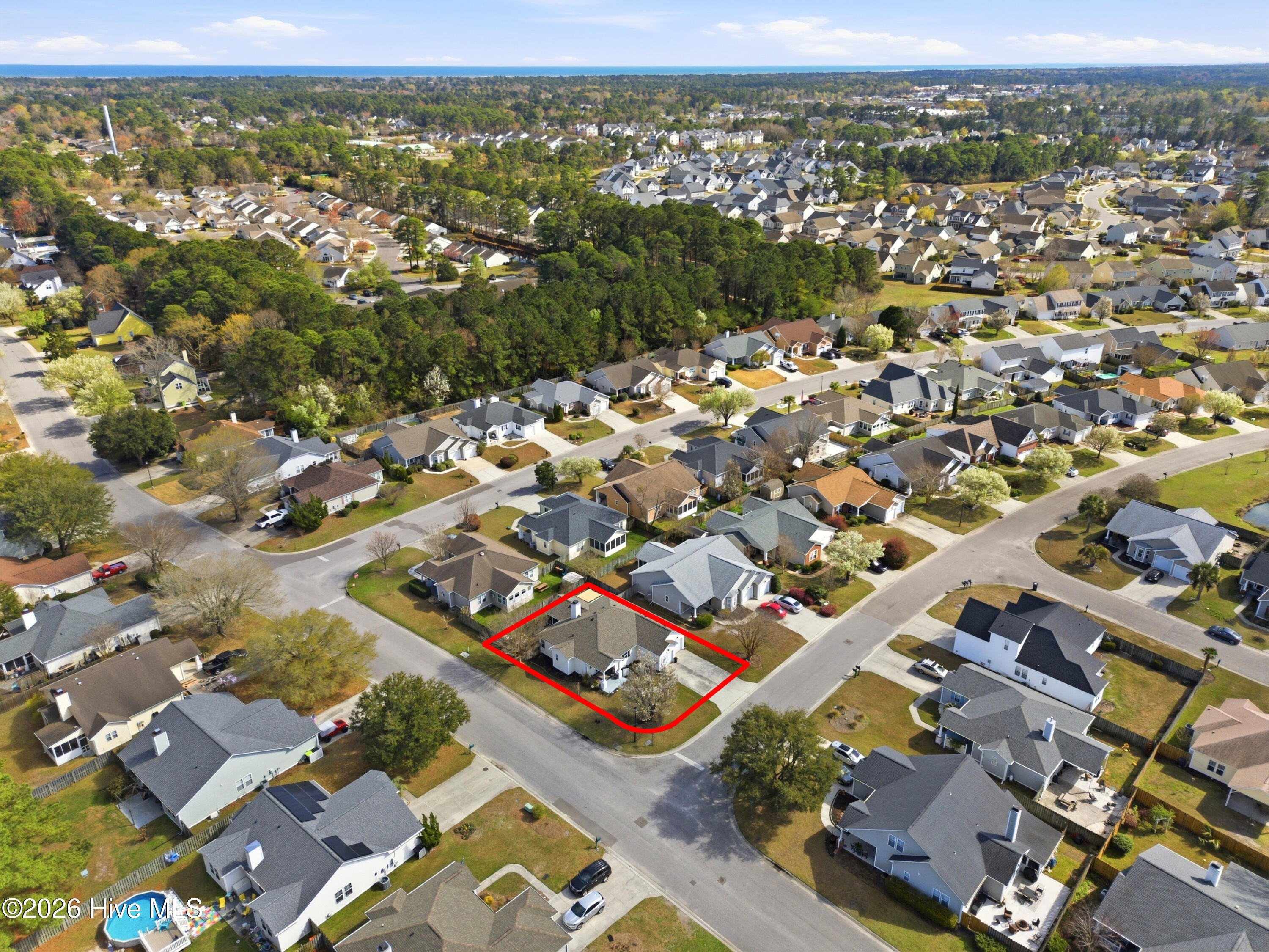 100560497 | Photo 38