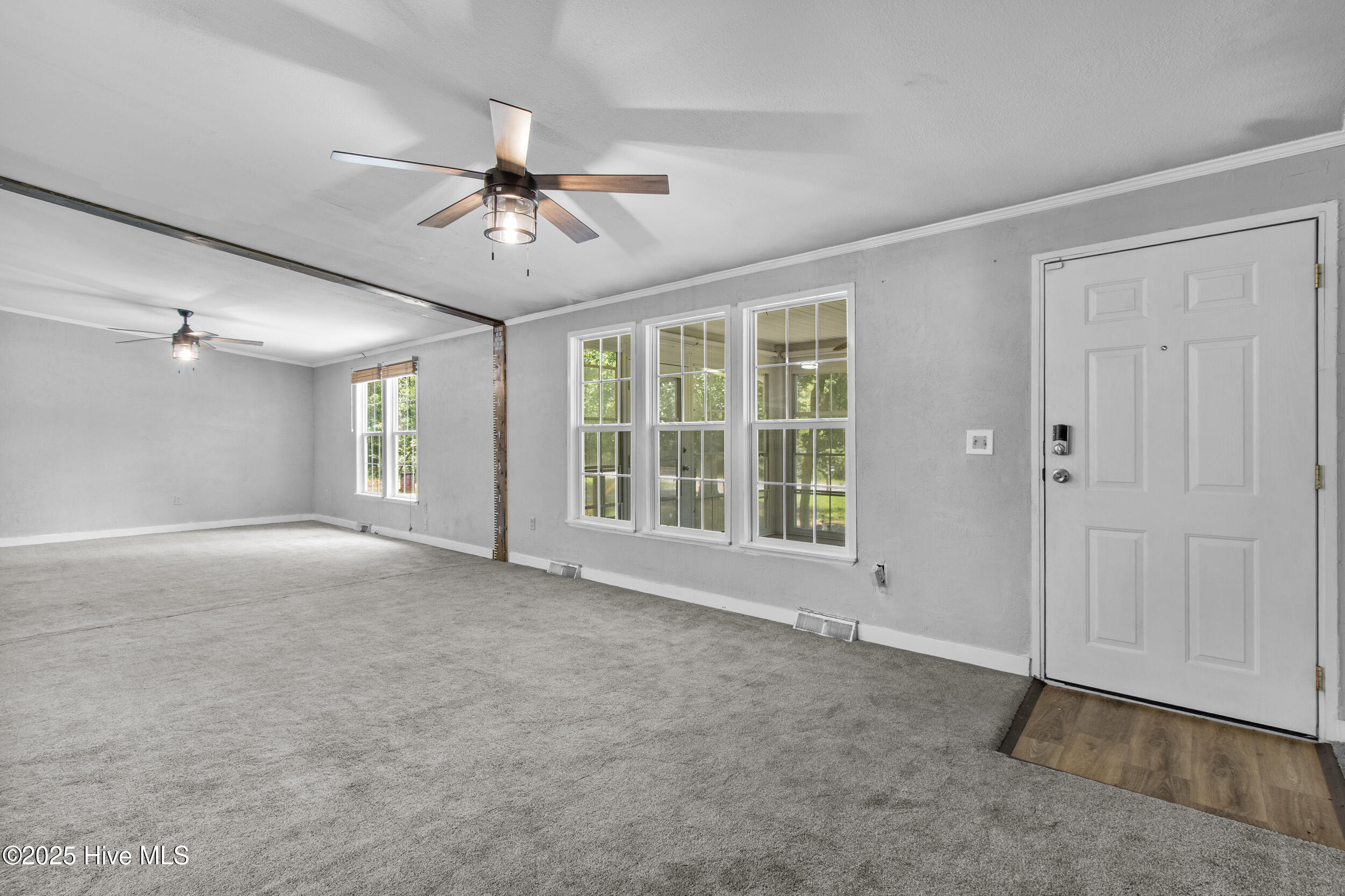 100515334 | Photo 12