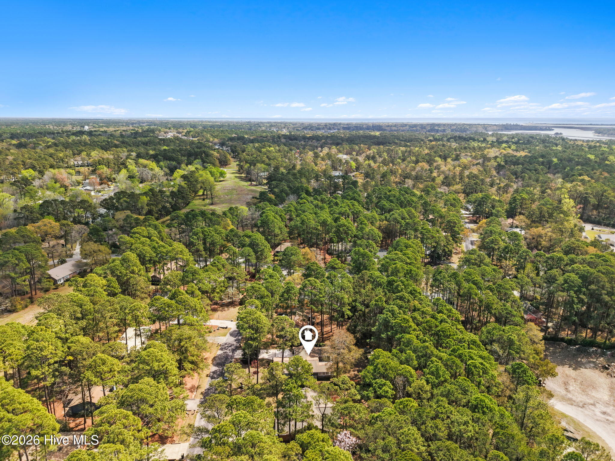 100564261 | Photo 55