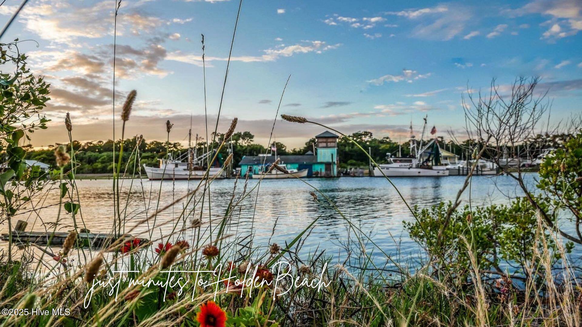 100513716 | Photo 23