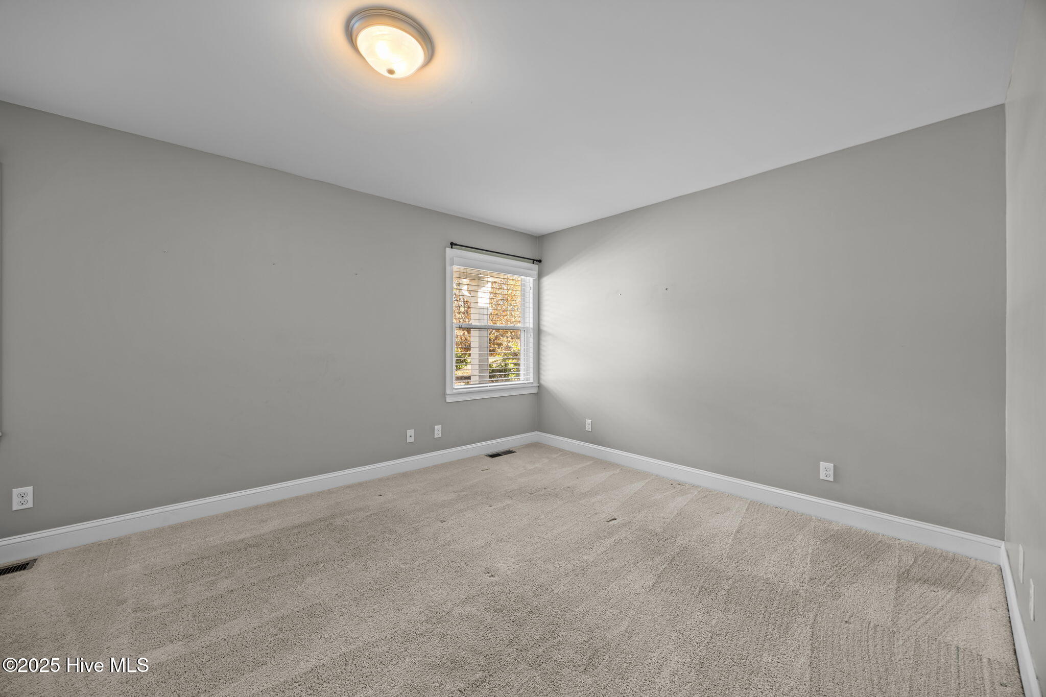 100546407 | Photo 18