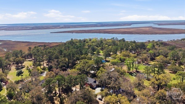 10 Old Barn Road, Savannah, GA 31419 Listing Photo  37