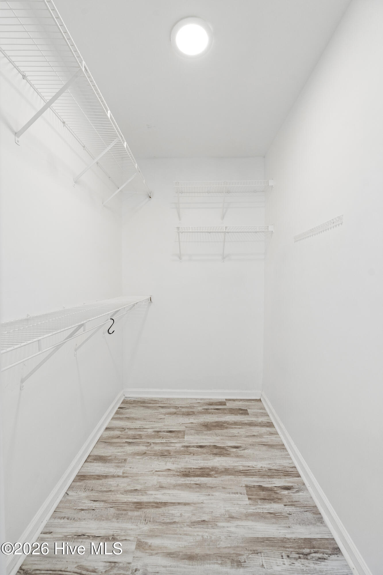 100557847 | Photo 20