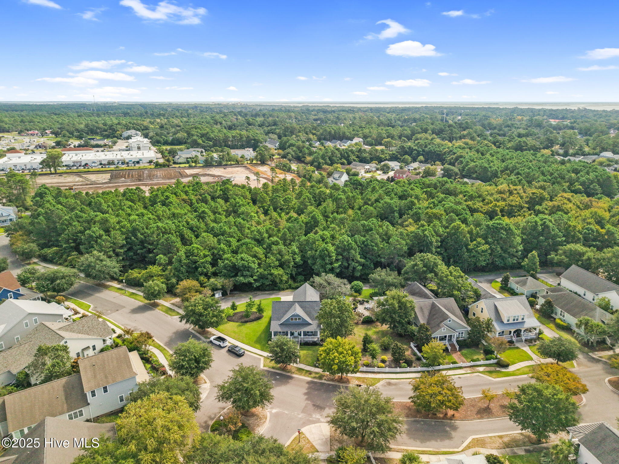 100530227 | Photo 59