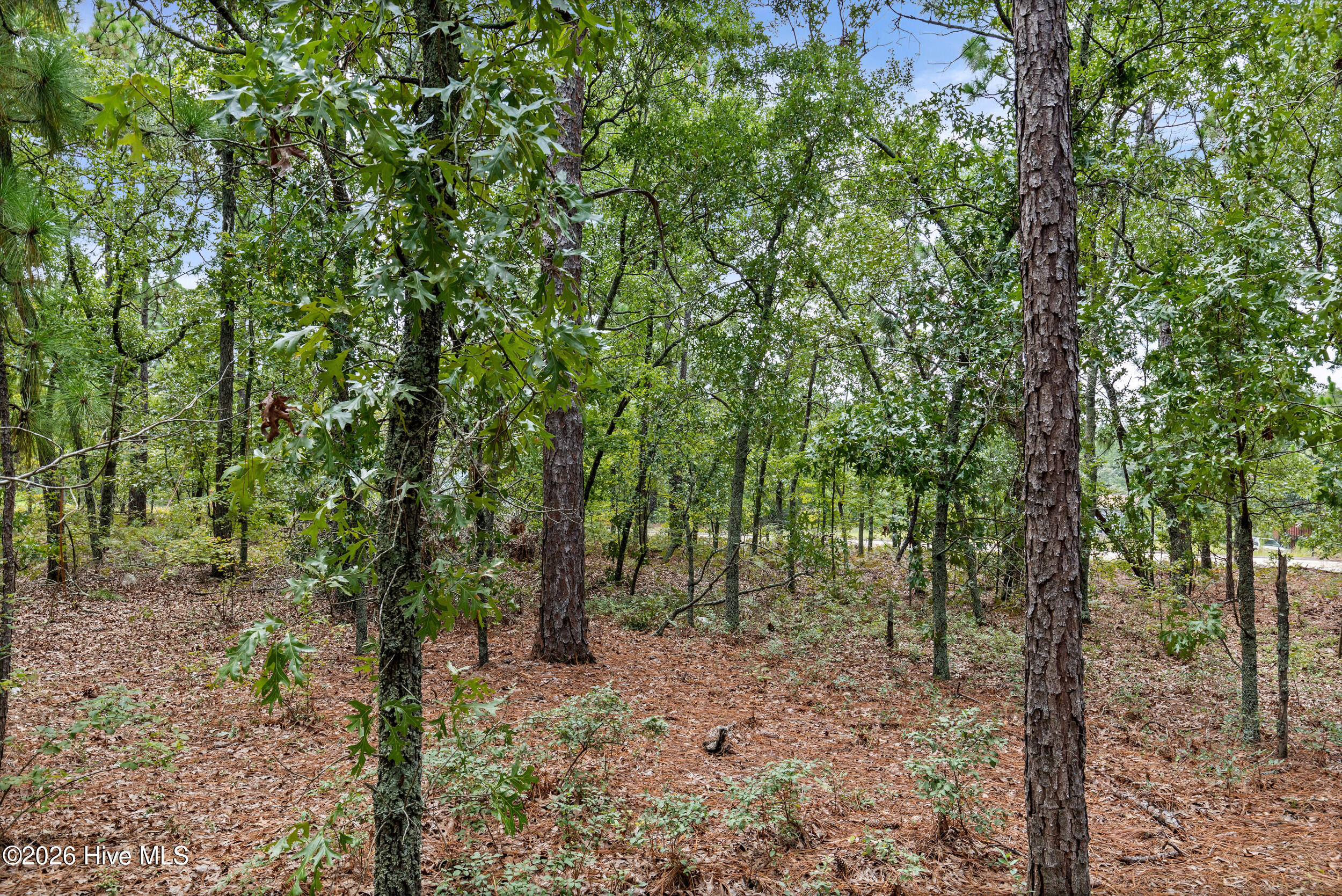 16th image of 2467 Patiller Rd, Hephzibah, GA 30815 | MLS# 100594820