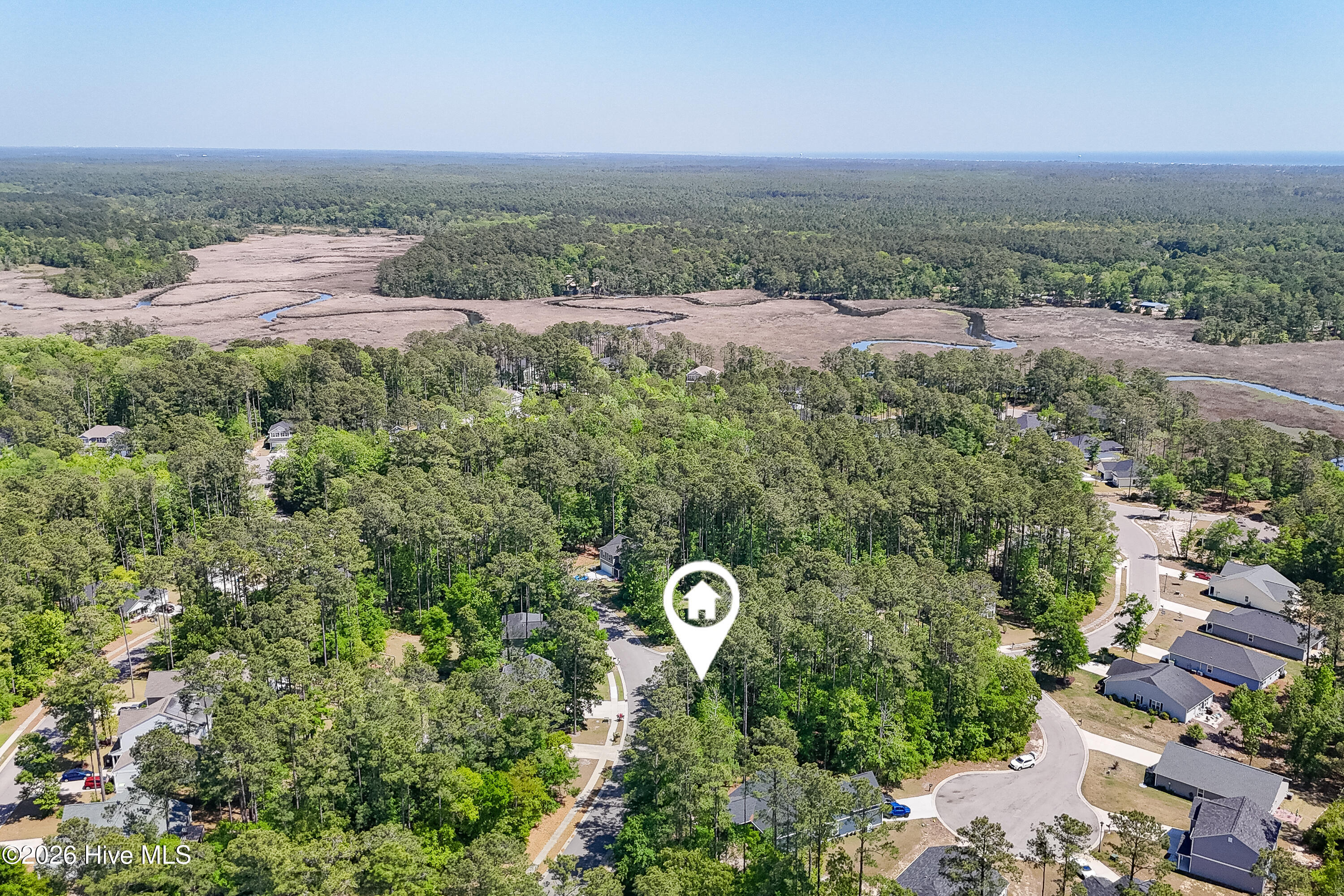 100569984 | Photo 11