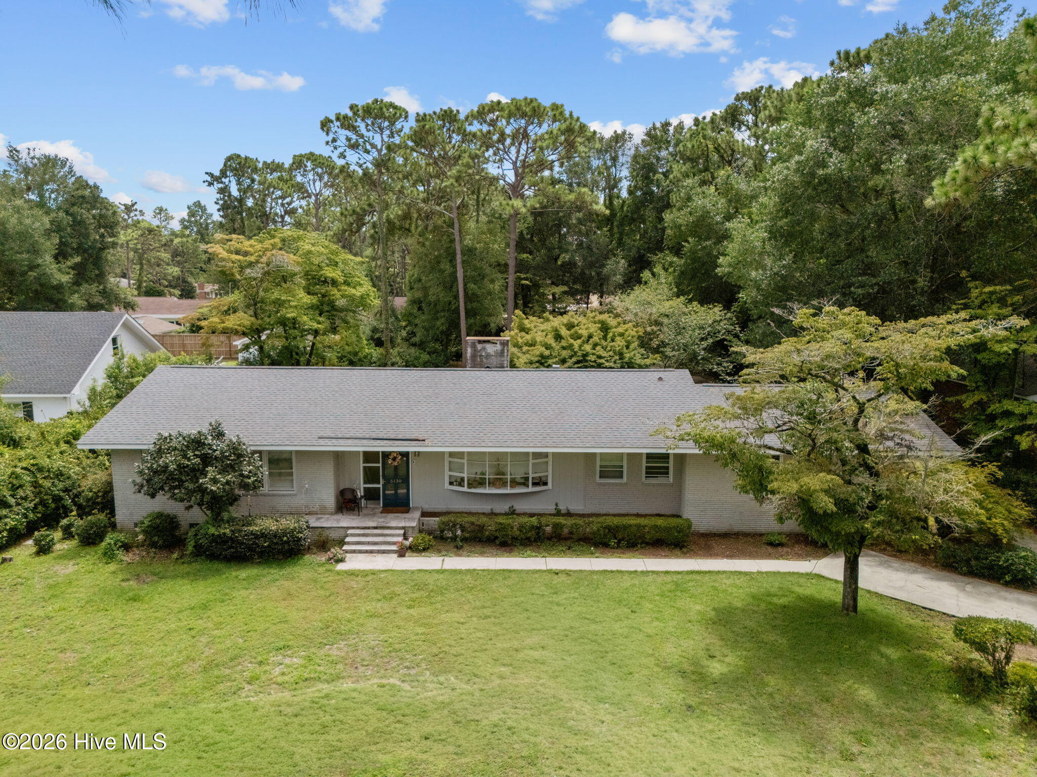 100525803 | Photo 41