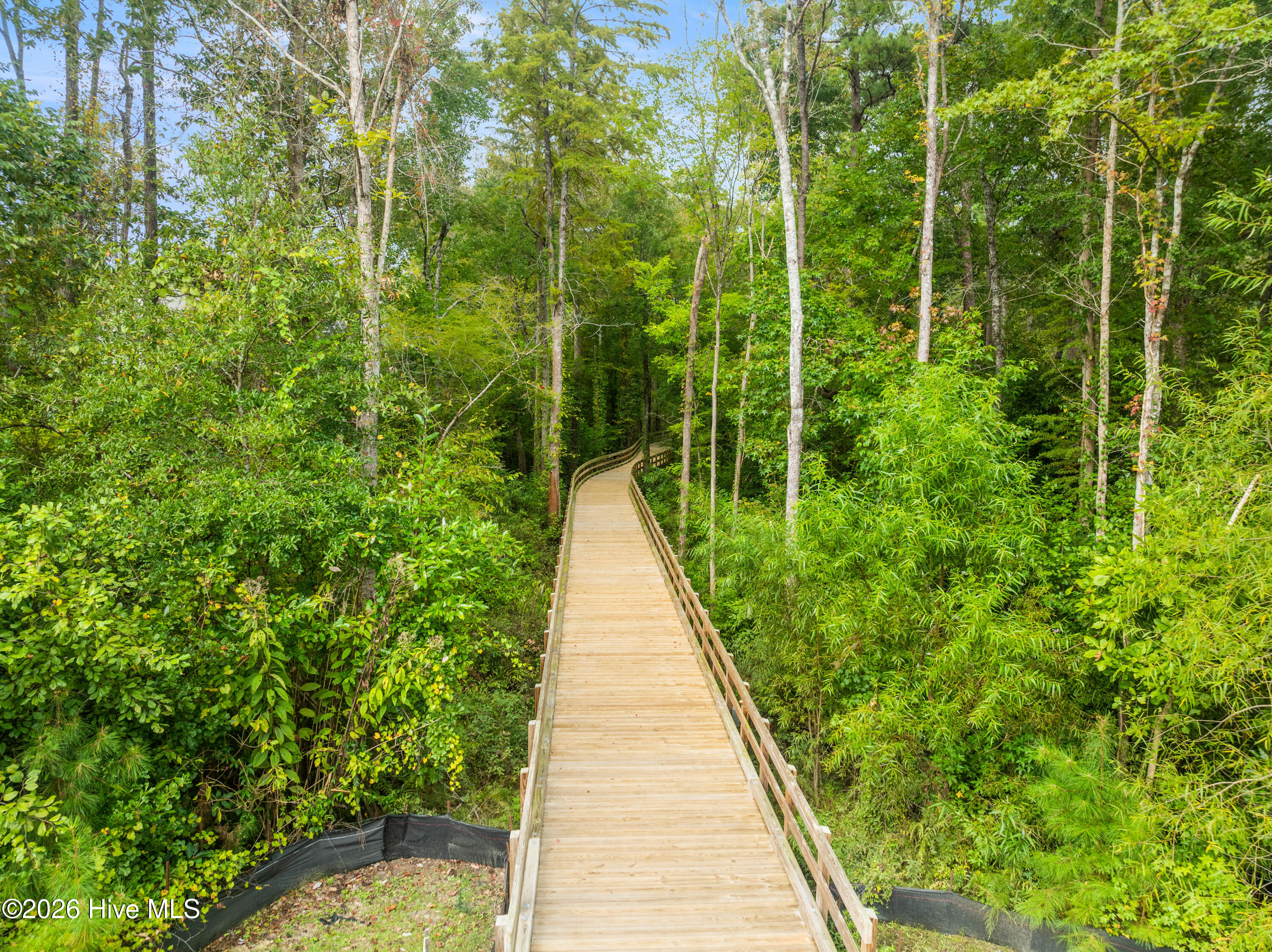 100551046 | Photo 21