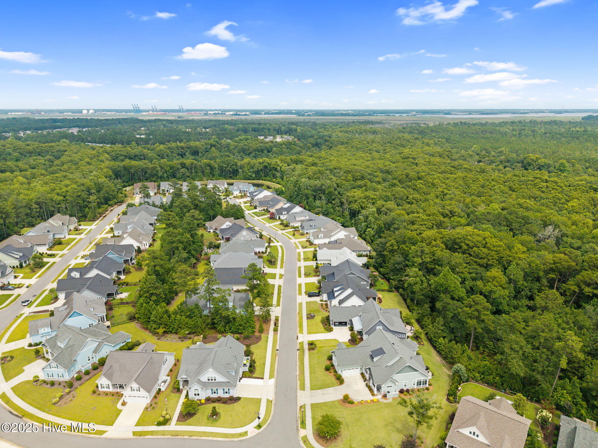 100529487 | Photo 50