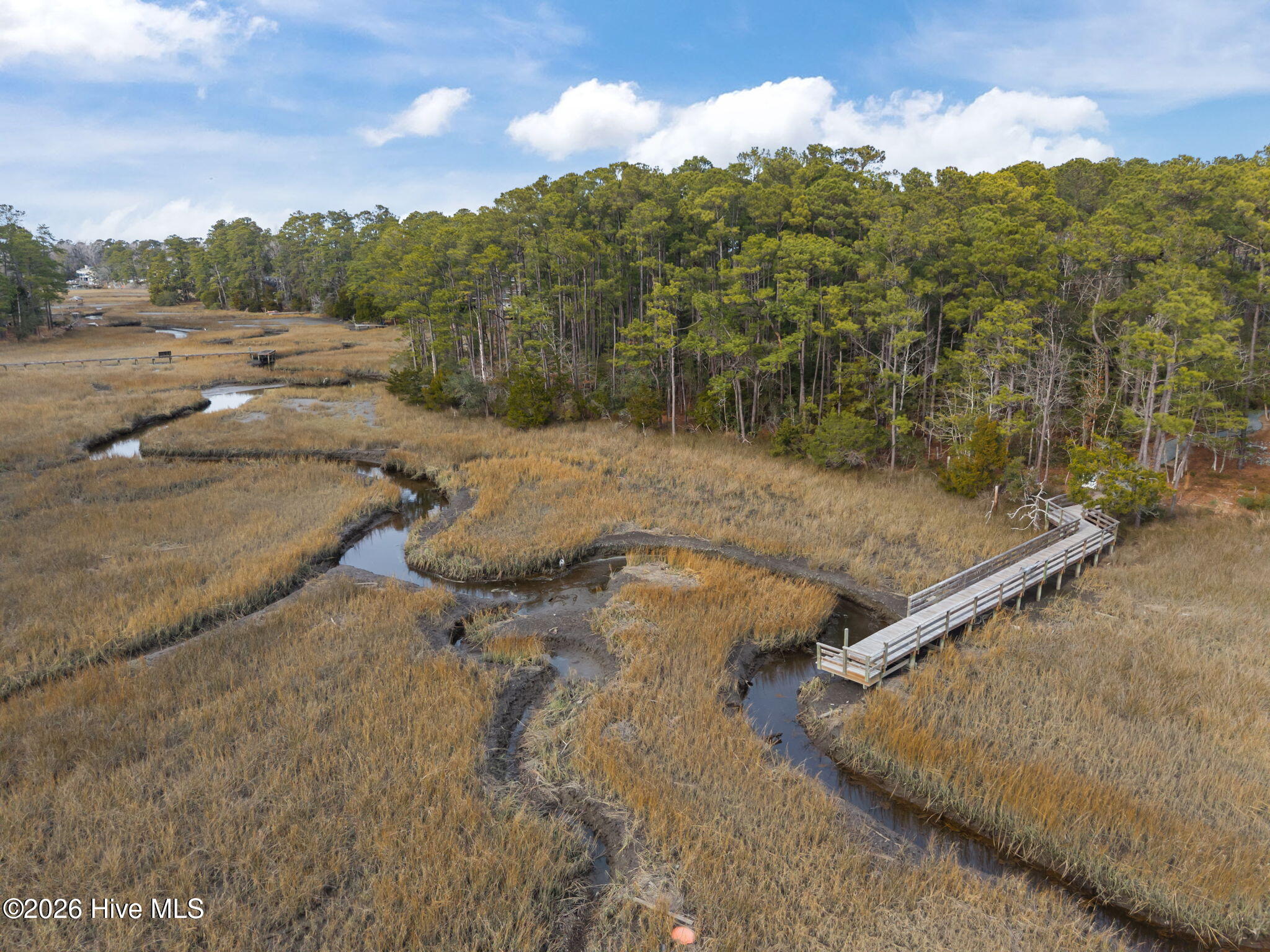 100552247 | Photo 48