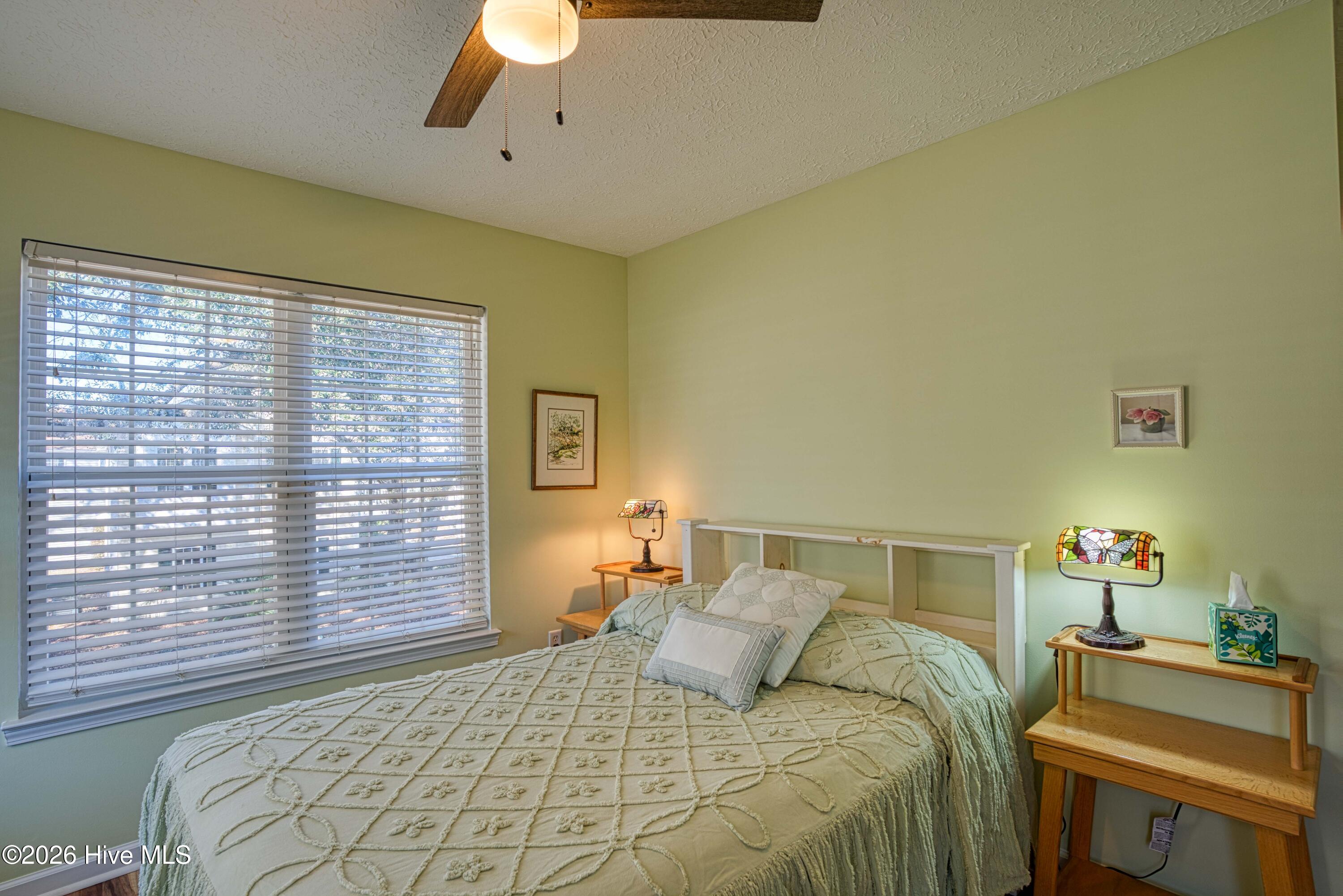 100556231 | Photo 24