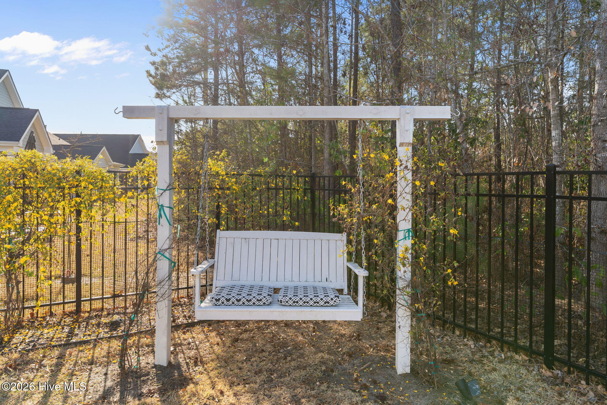 100557364 | Photo 38