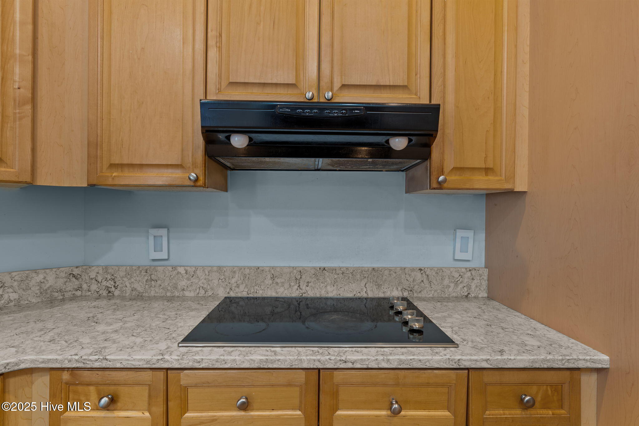 100538095 | Photo 21